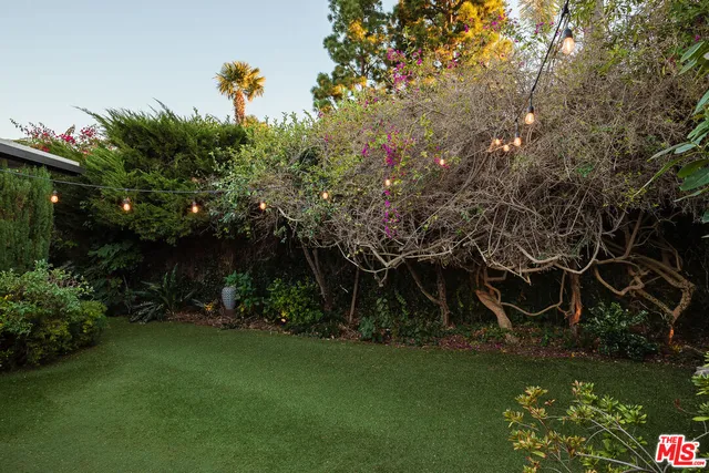 a view of a backyard with plants