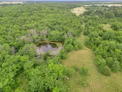 a view of a lush green forest with a lake
