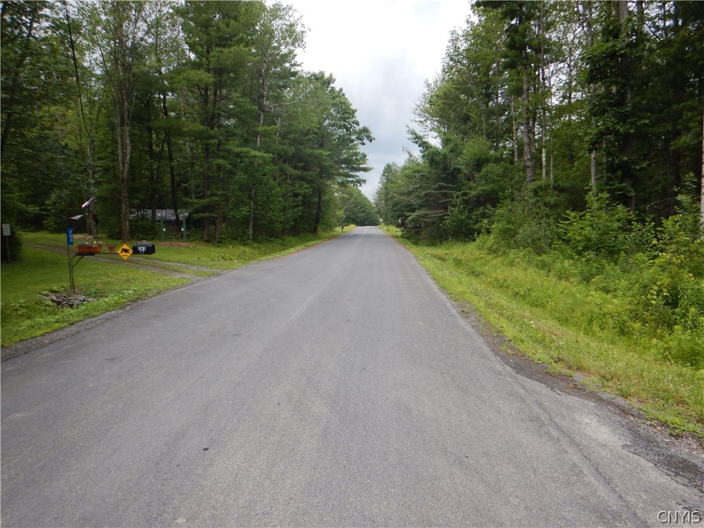 Bull Hill Road Newfield, NY 14867 - Photo 3 of 36