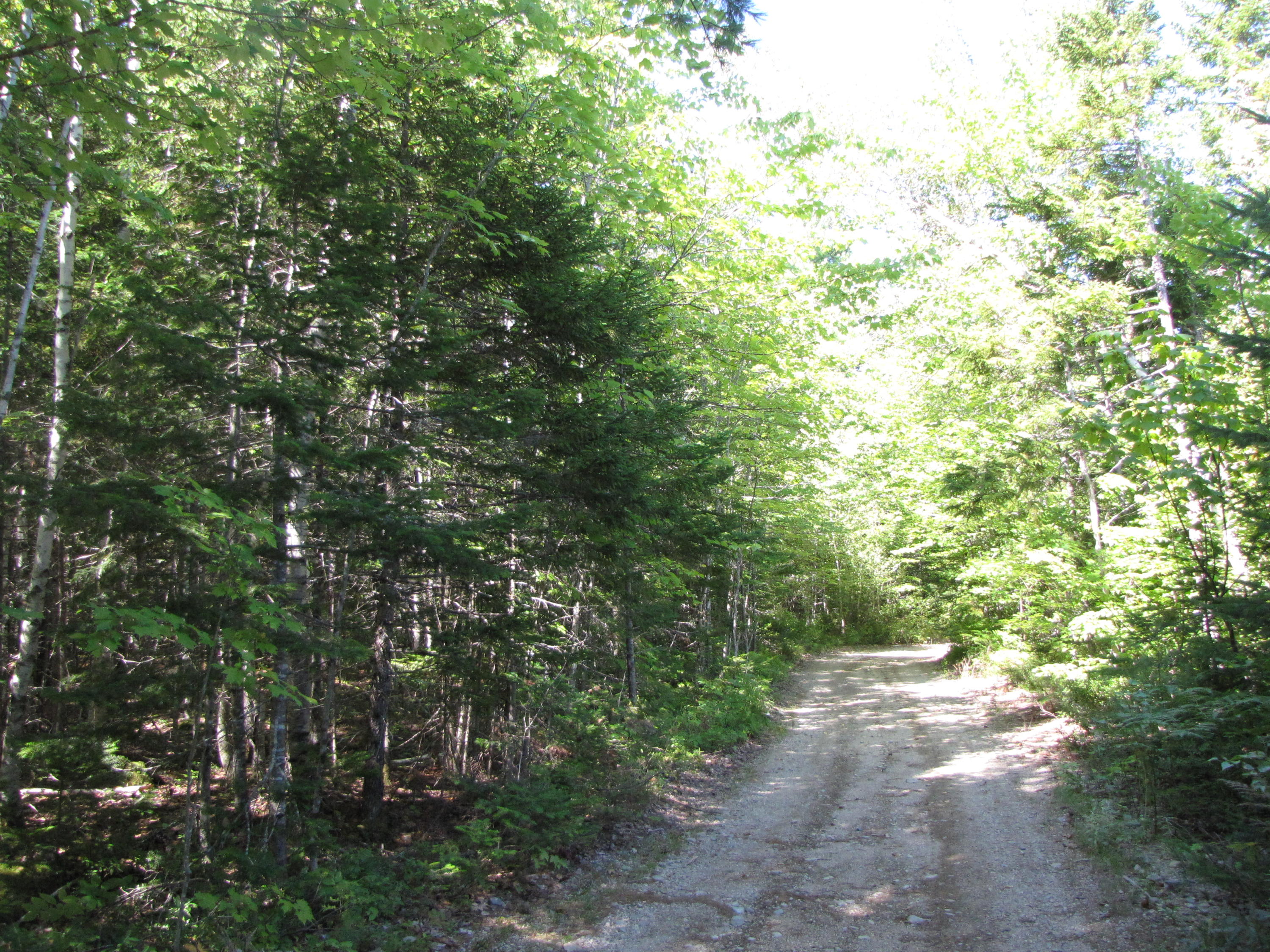 03 Plan Cherryfield, ME 04622 - Photo 31 of 36 IMG_0457