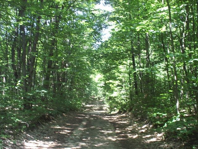 20 Raspberry Lane Charlevoix, MI 49720 - Photo 2 of 8 1802586-1.JPG