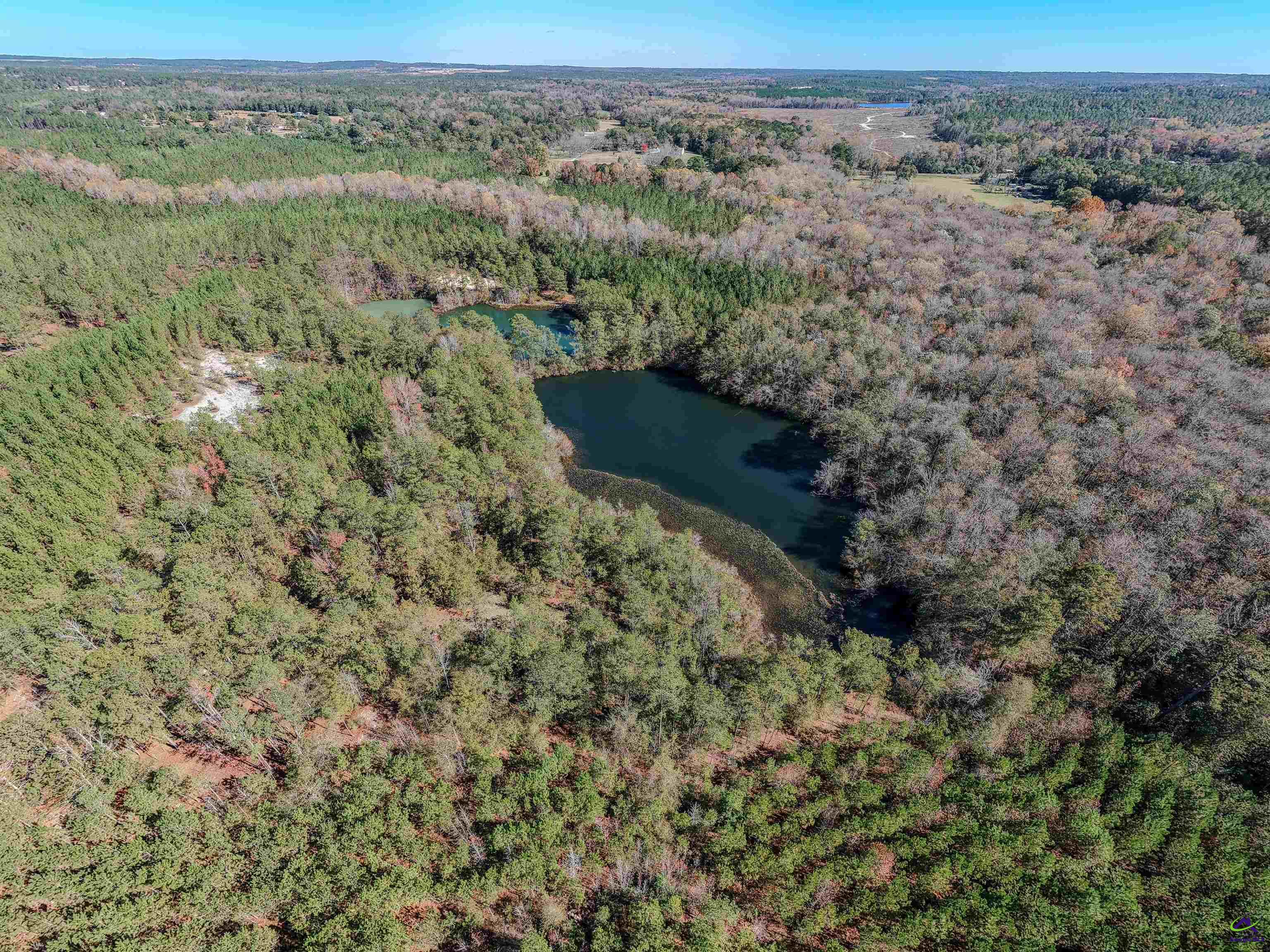 1446 Avera Road Roberta, GA 31078 - Photo 18 of 33