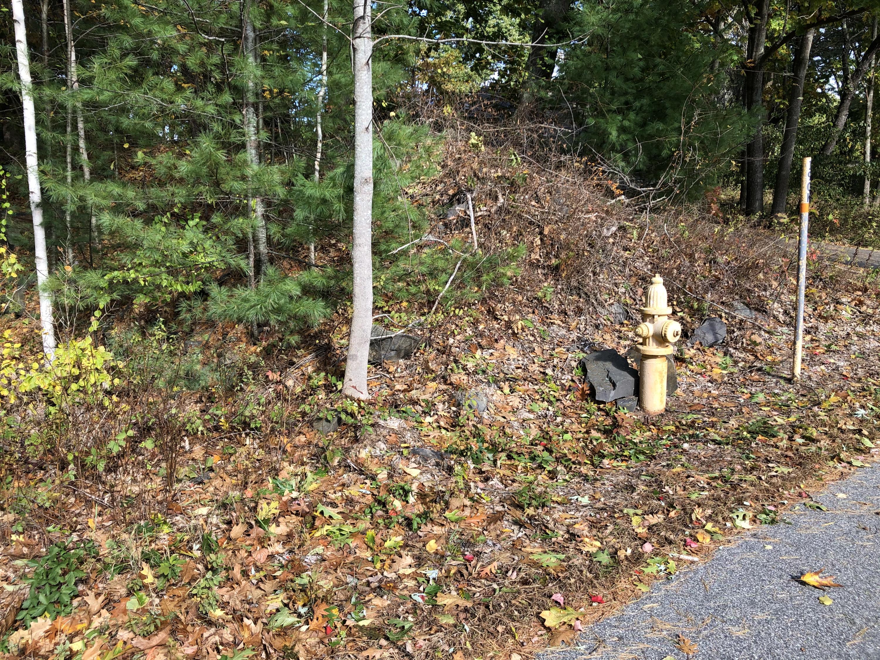27 Goose Point Road Kittery Point, ME 03905 - Photo 3 of 6 IMG_1229