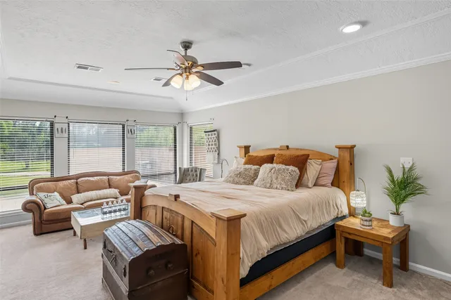 a bedroom with a bed and a couch