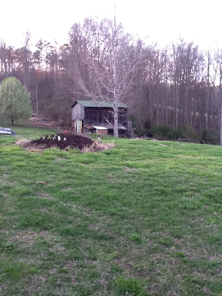 3800 Hickory Valley Road Maynardville, TN 37807 - Photo 16 of 16 photo 2 (2)