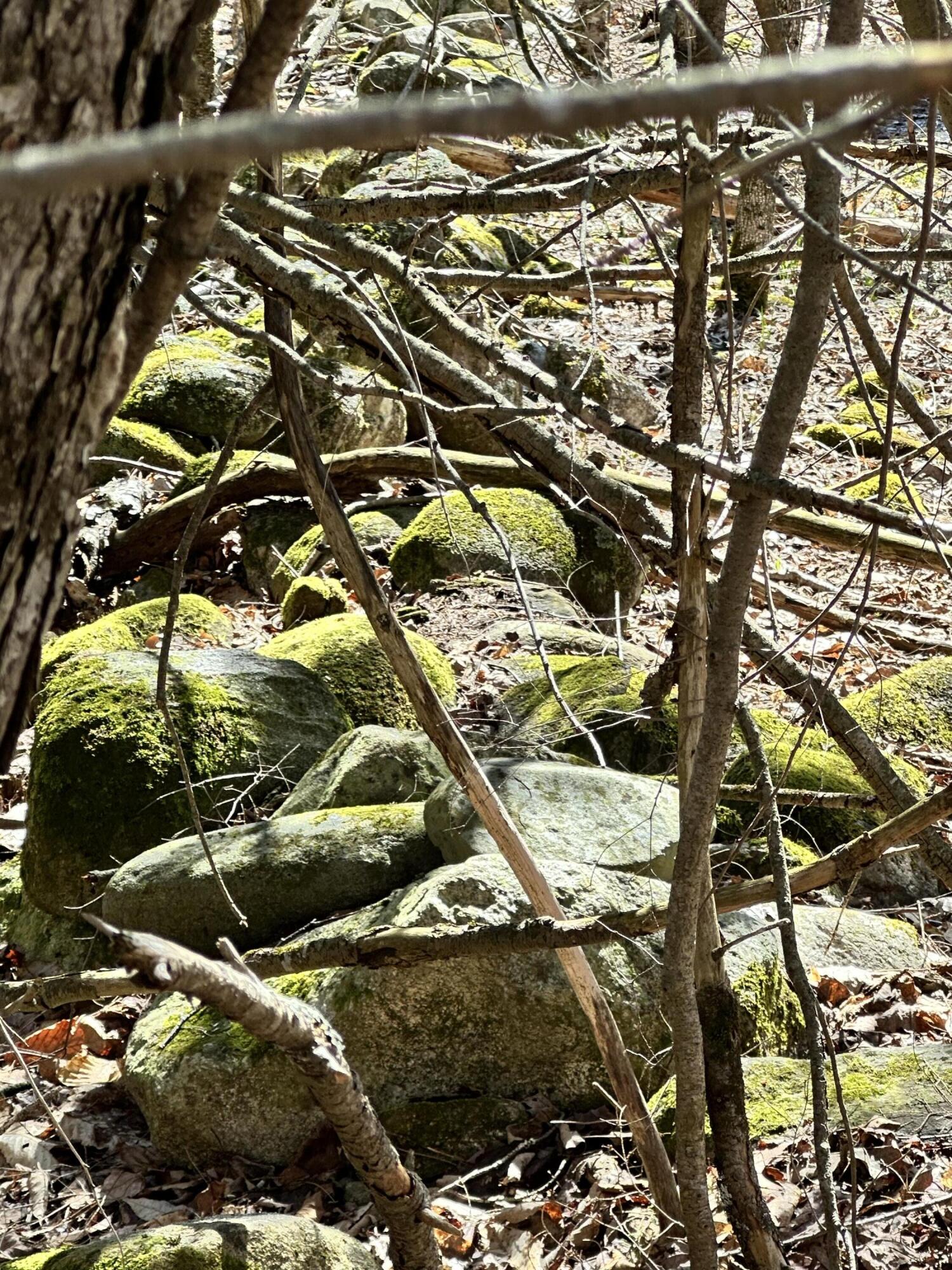 218 Plummer Road Richmond, ME 04357 - Photo 29 of 34 ROCKWALL