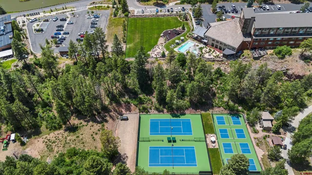 an aerial view of a tennis ground and large trees
