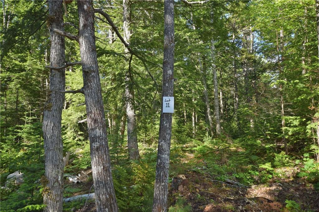 Lot 11 Loop & Little Stream Roads Lincoln, ME 04457 - Photo 2 of 12 Photo