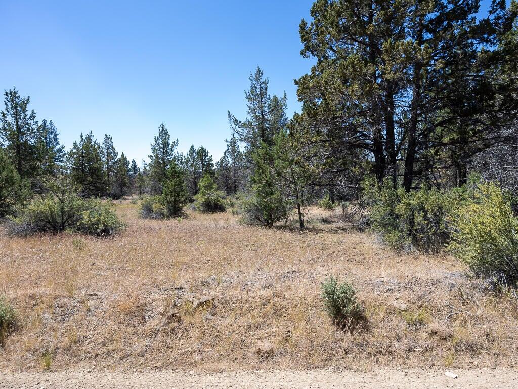 Panther Lane Bonanza, OR 97623 - Photo 6 of 10 a view of a yard with a tree