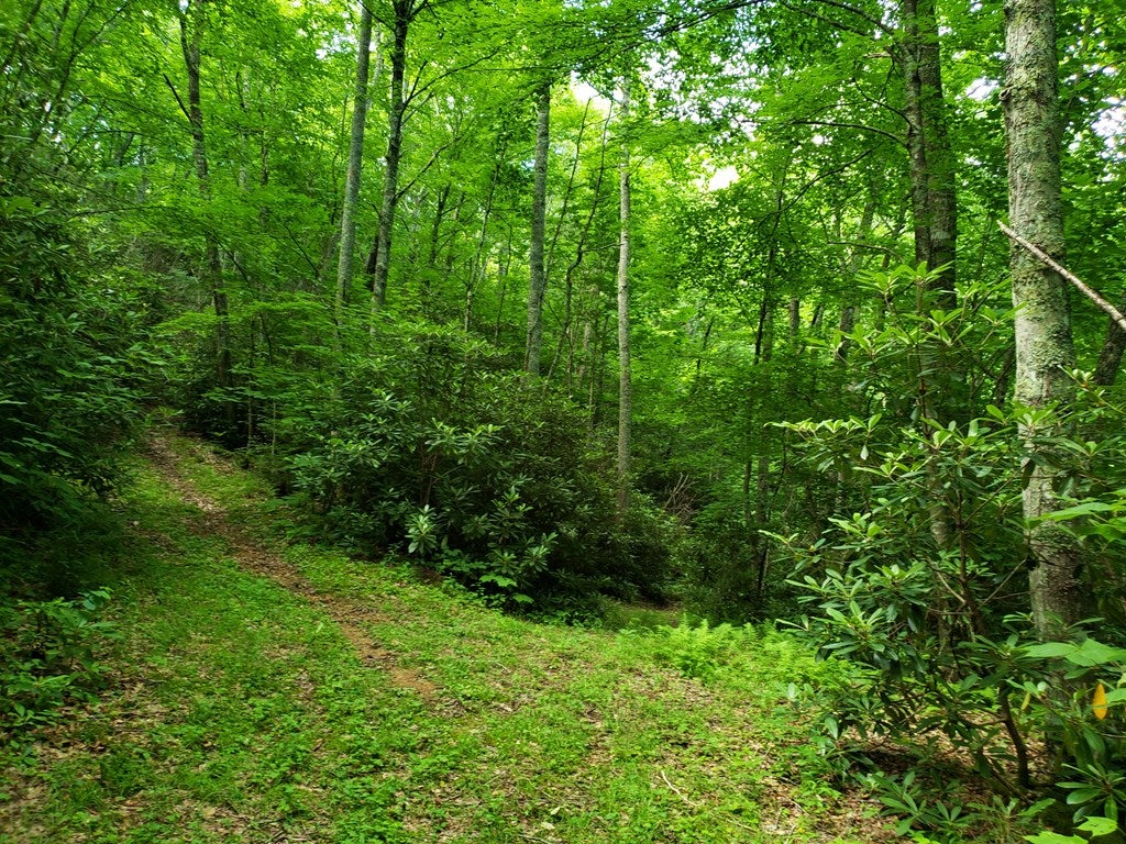 Tbd Flat Ridge Road, Unit 16A7 Troutdale, VA 24378 - Photo 14 of 33 Gallery Image 14