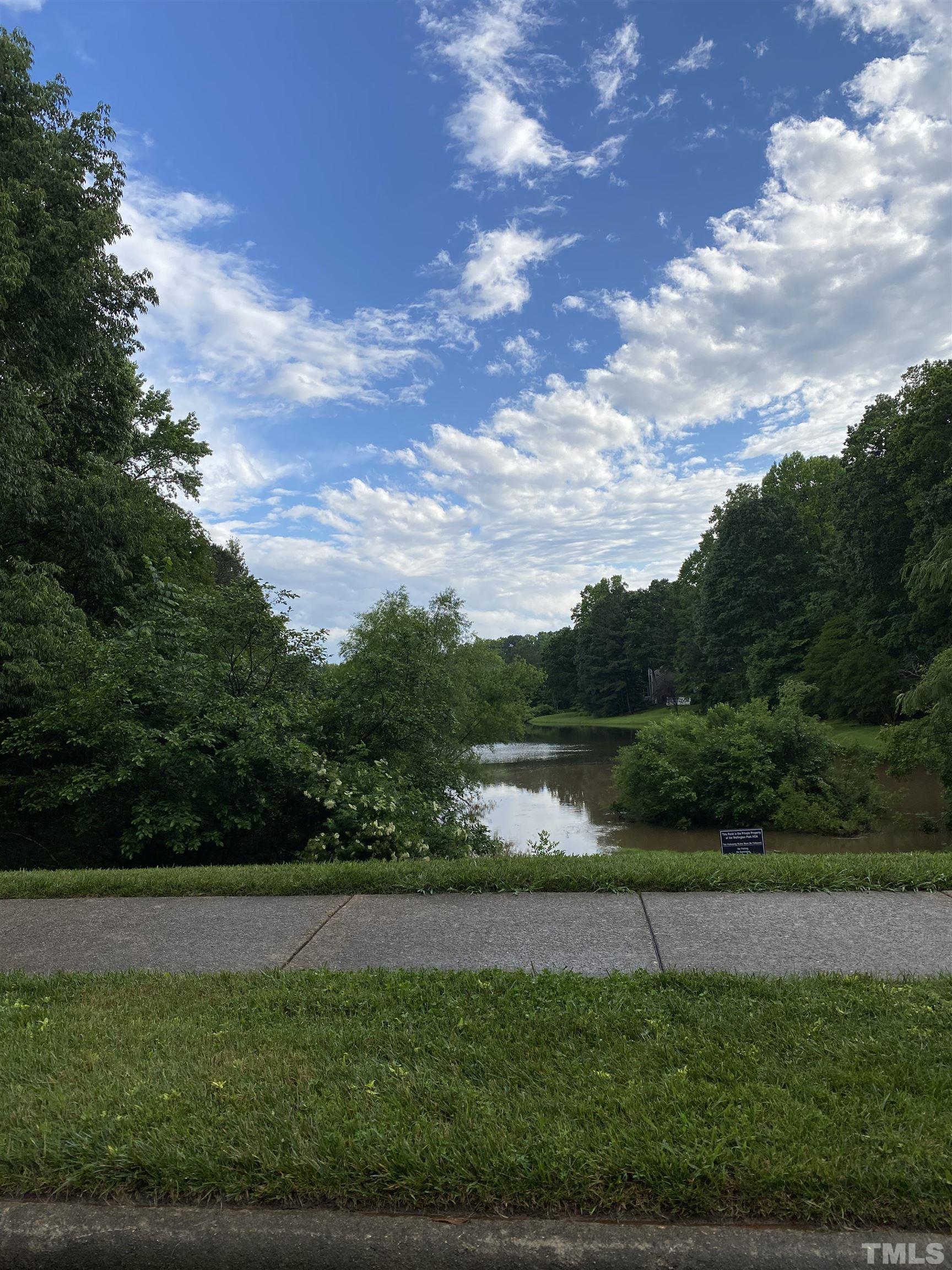 4422 Wellington Ridge Loop, Unit 4422 Cary, NC 27518 - Photo 40 of 40 a view of lake with green space