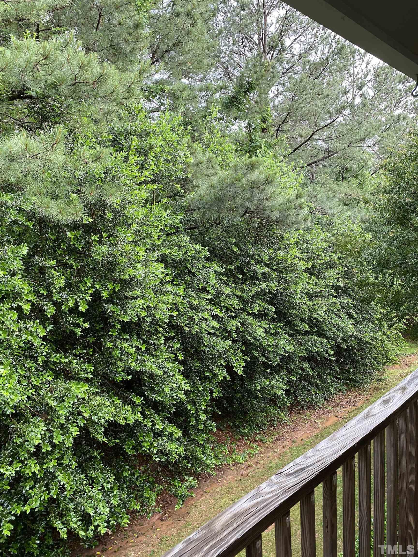 4422 Wellington Ridge Loop, Unit 4422 Cary, NC 27518 - Photo 10 of 40 a view of a forest from a window