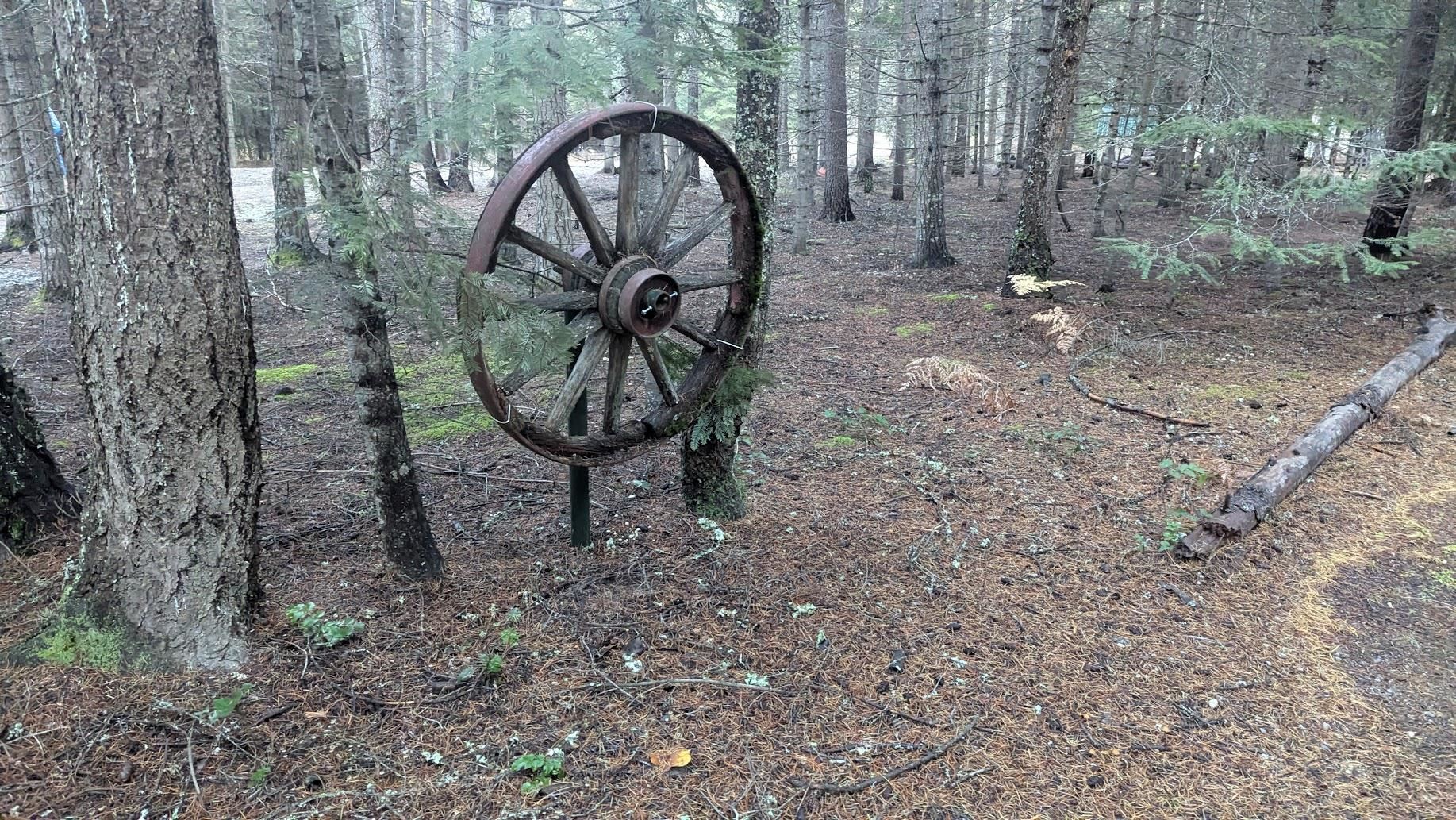 158 Teal Road Usk, WA 99180 - Photo 16 of 23