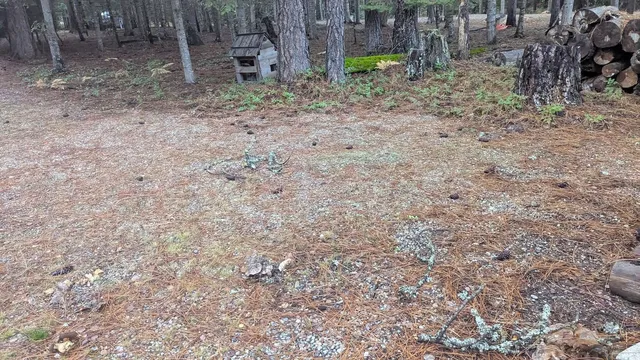 $155,000 | 158 Teal Road, Usk, WA 99180