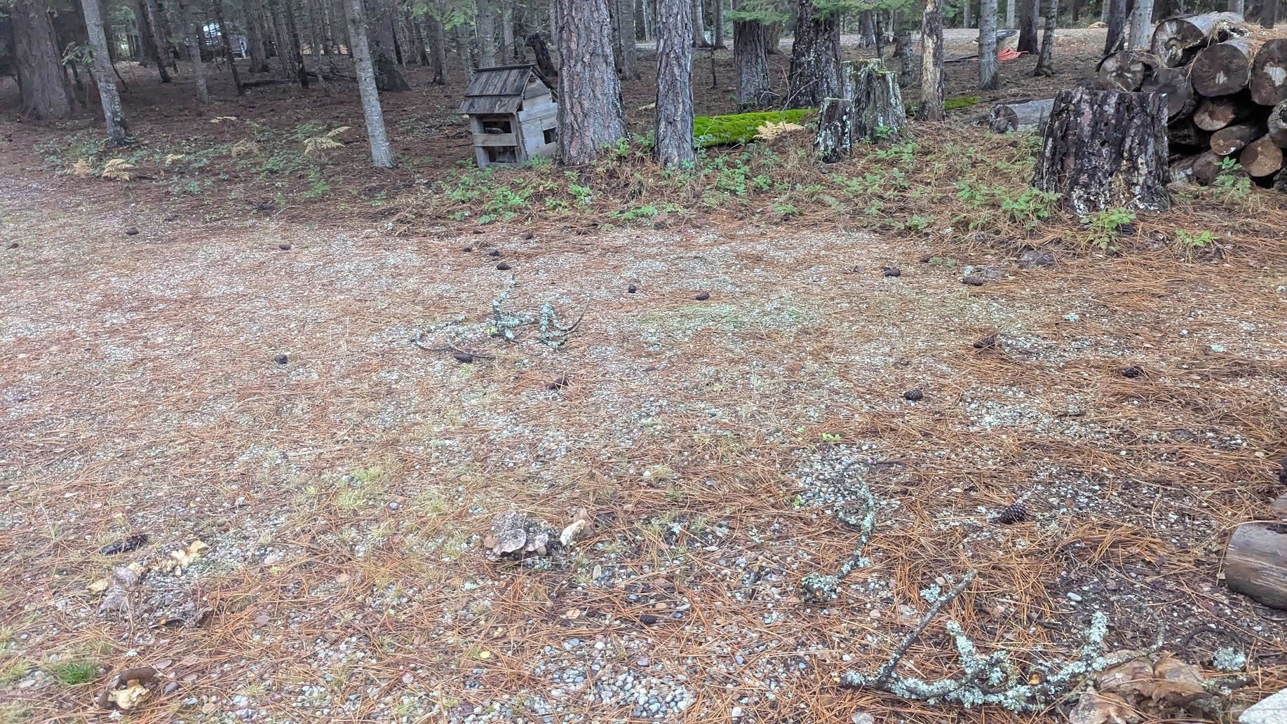 158 Teal Road Usk, WA 99180 - Photo 10 of 23