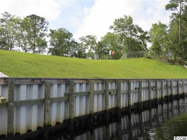 Lot 10 Bluff View Court Georgetown, SC 29440 - Photo 11 of 14 Gallery Image 11