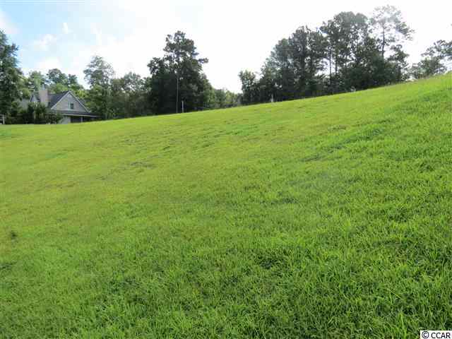 Lot 10 Bluff View Court Georgetown, SC 29440 - Photo 5 of 14 Gallery Image 5