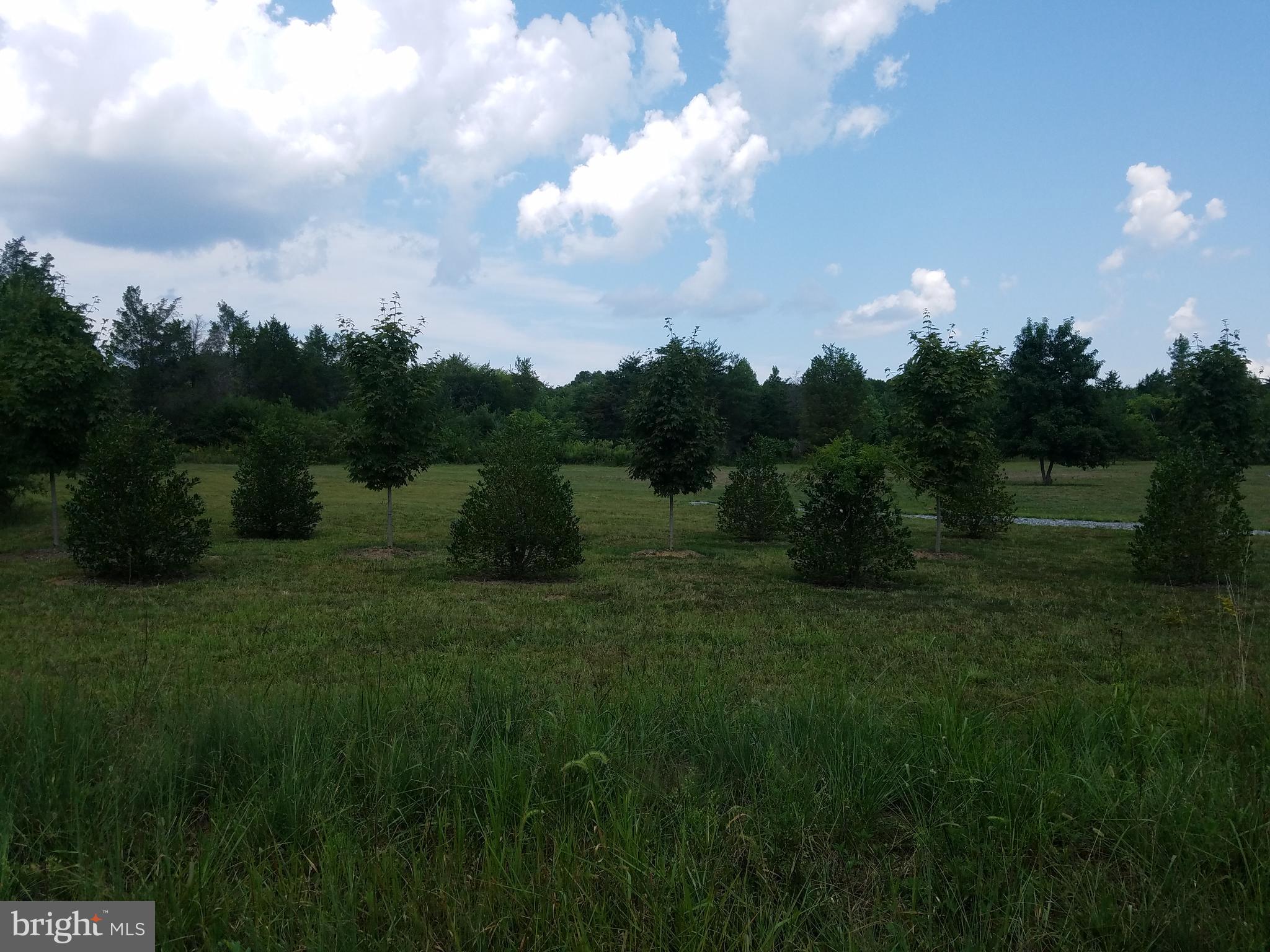 92 White Walnut Road Louisa, VA 23093 - Photo 2 of 8 Gallery Image 2