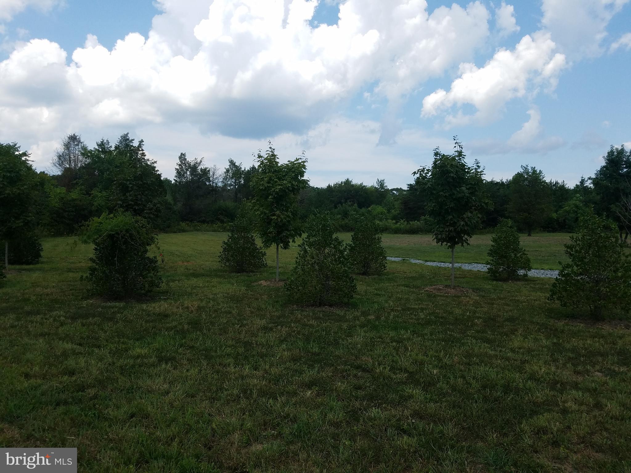 92 White Walnut Road Louisa, VA 23093 - Photo 7 of 8 Gallery Image 7