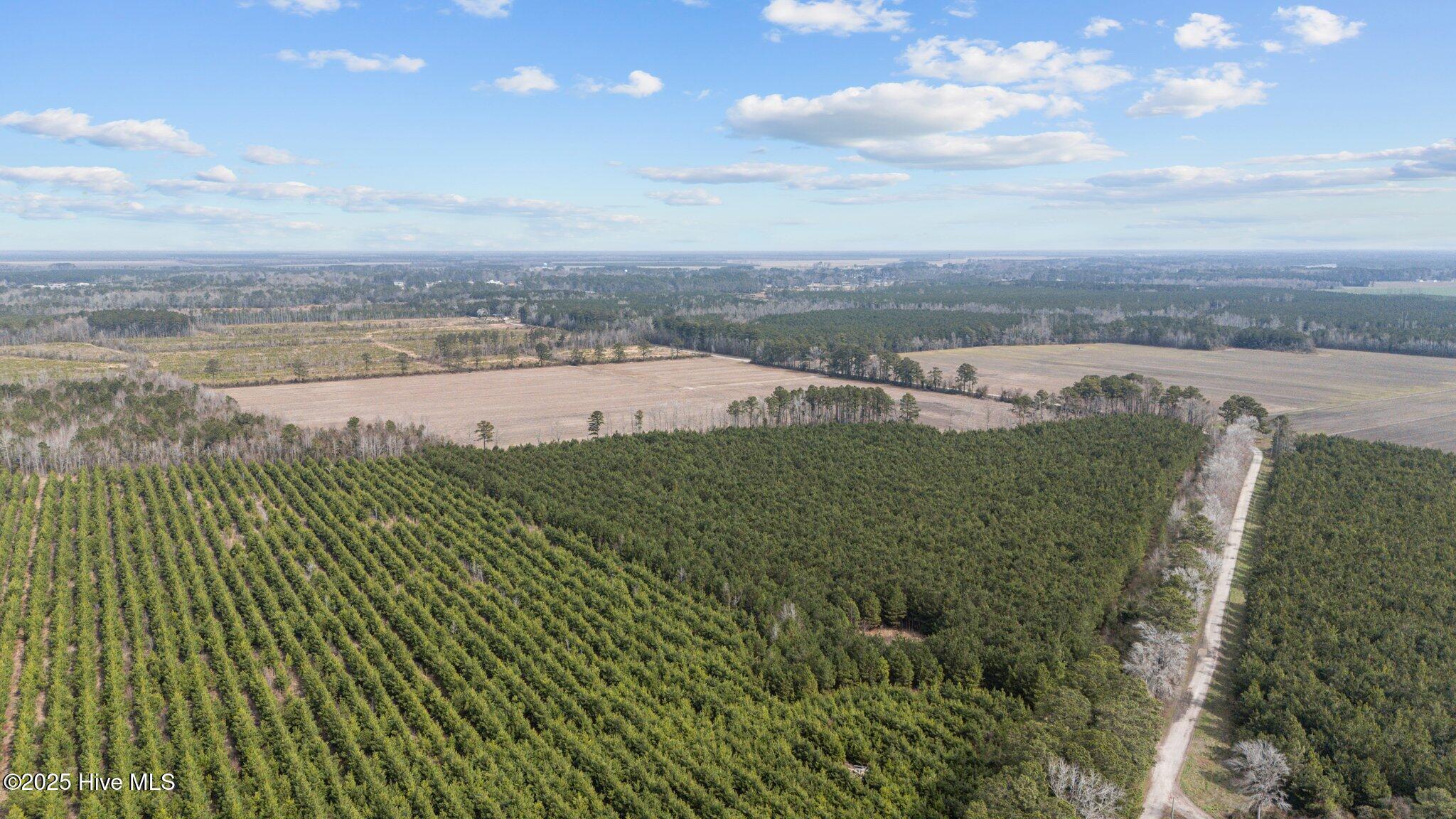 0 Neals Creek Road Bayboro, NC 28515 - Photo 11 of 32 10-web-or-mls-DJI_20250313115301_0042_D