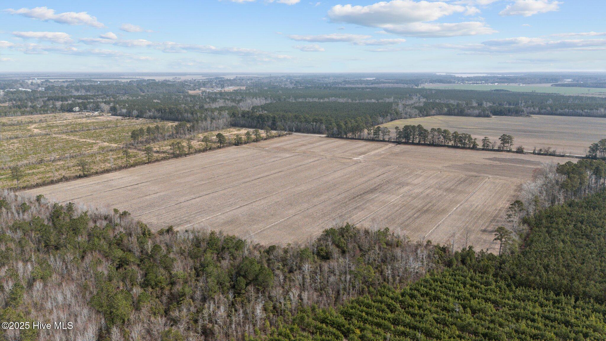0 Neals Creek Road Bayboro, NC 28515 - Photo 12 of 32 11-web-or-mls-DJI_20250313115356_0045_D