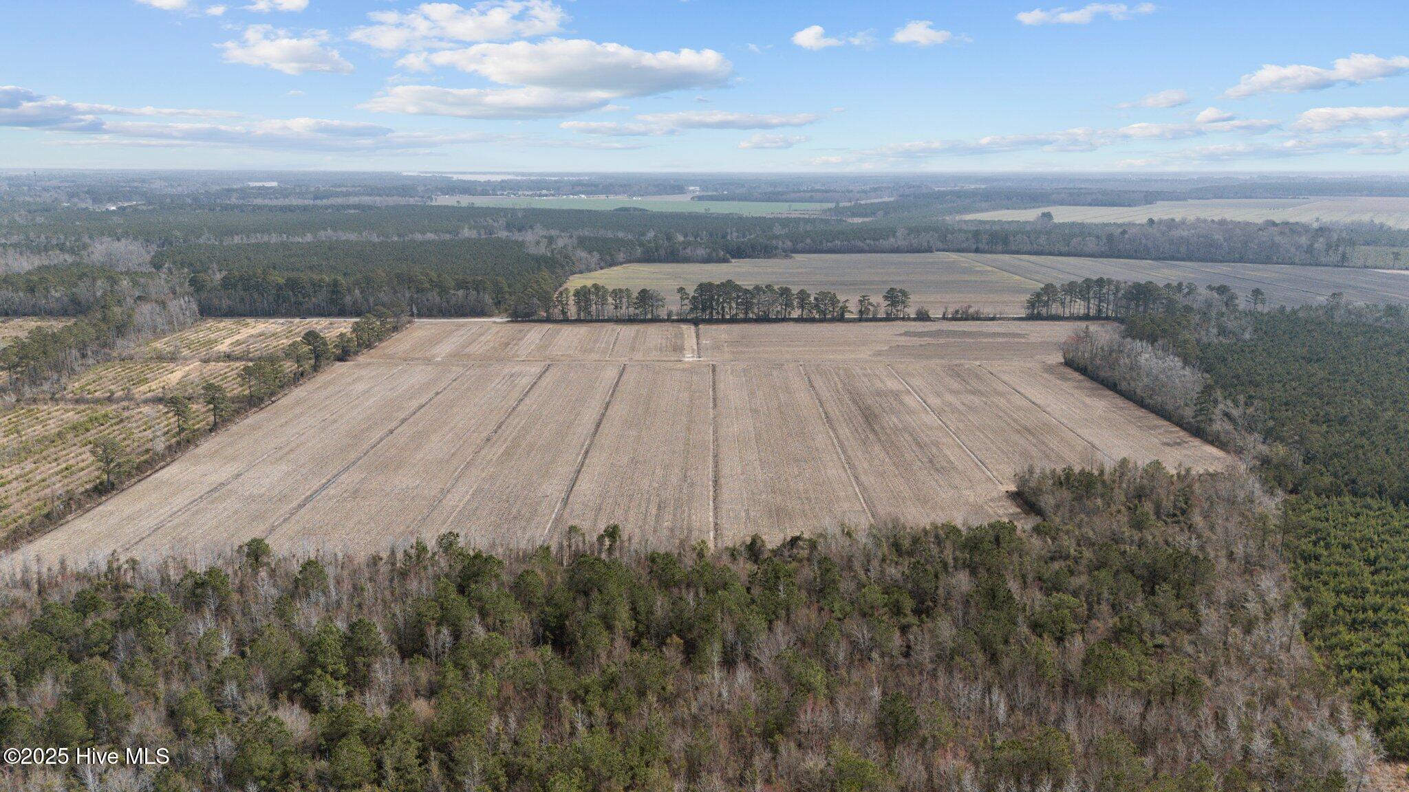 0 Neals Creek Road Bayboro, NC 28515 - Photo 13 of 32 12-web-or-mls-DJI_20250313115419_0046_D