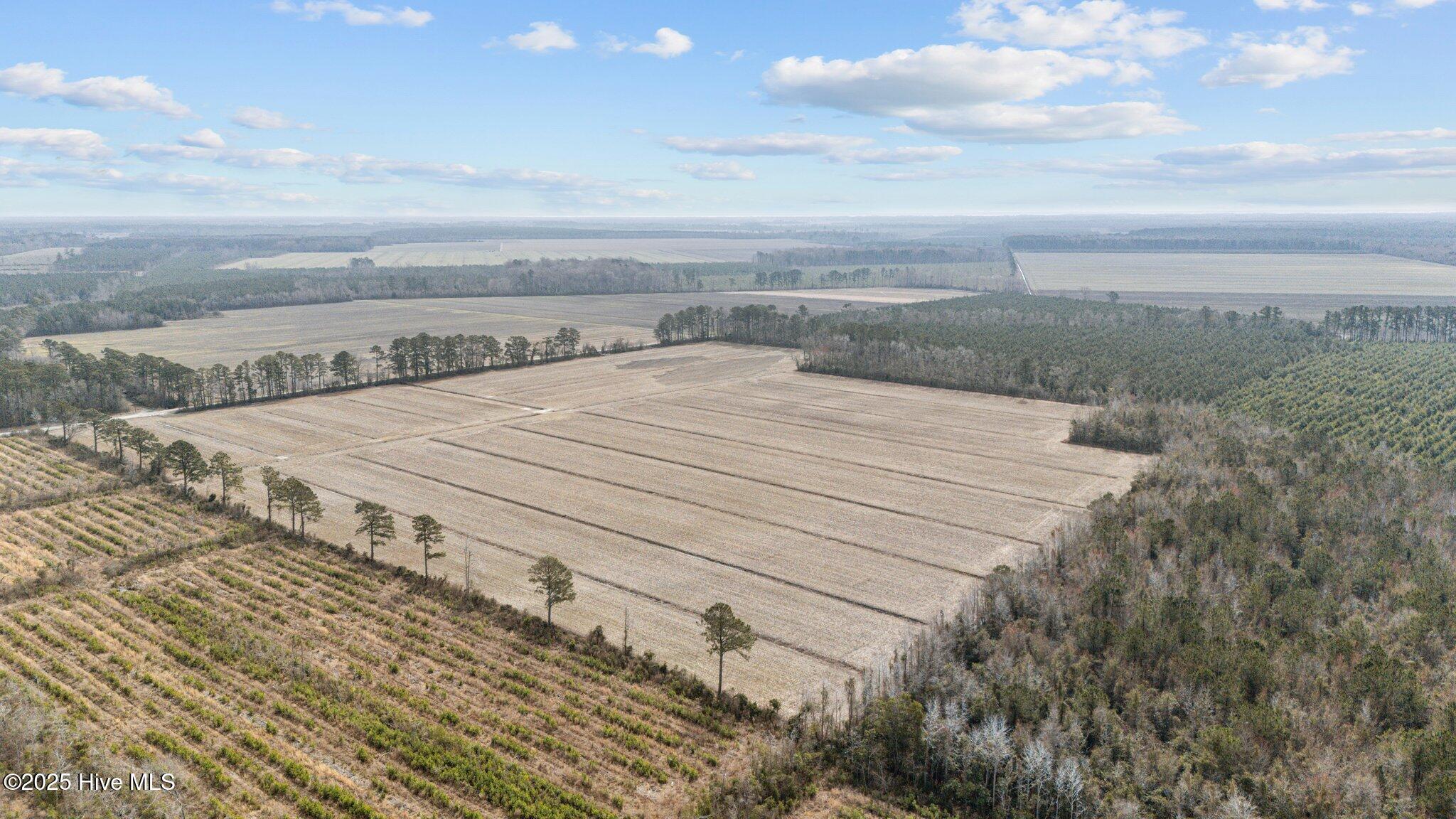 0 Neals Creek Road Bayboro, NC 28515 - Photo 14 of 32 13-web-or-mls-DJI_20250313115452_0048_D