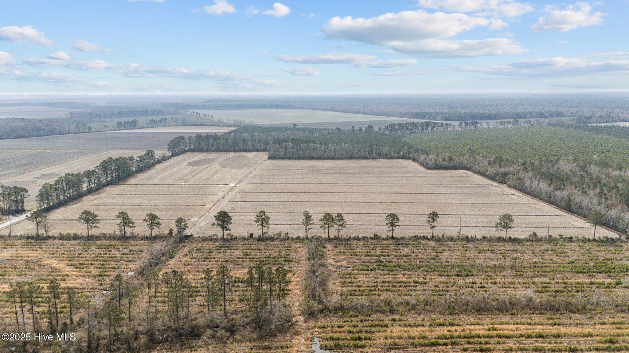 0 Neals Creek Road Bayboro, NC 28515 - Photo 15 of 32 14-web-or-mls-DJI_20250313115523_0049_D