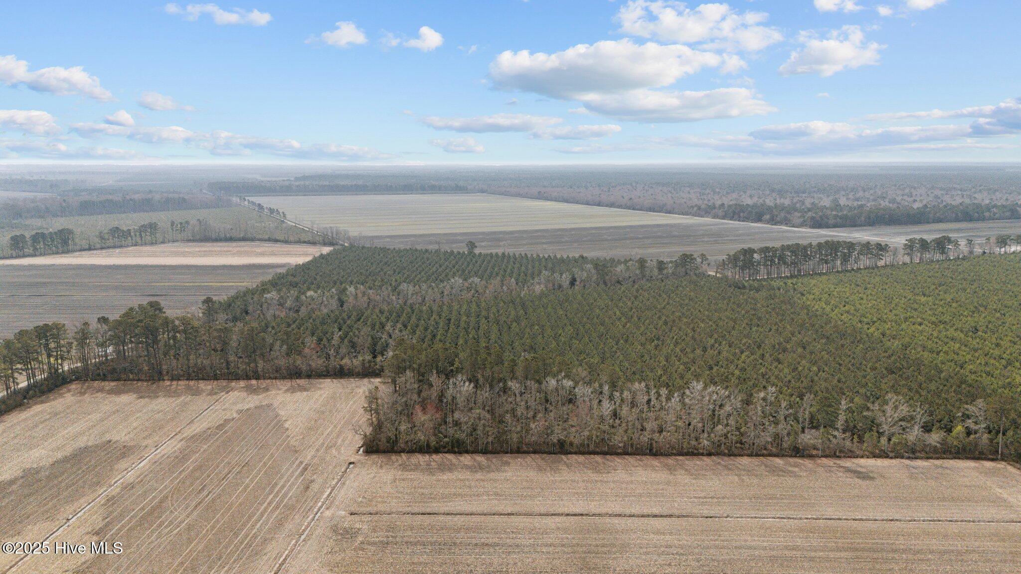 0 Neals Creek Road Bayboro, NC 28515 - Photo 16 of 32 16-web-or-mls-DJI_20250313115638_0053_D