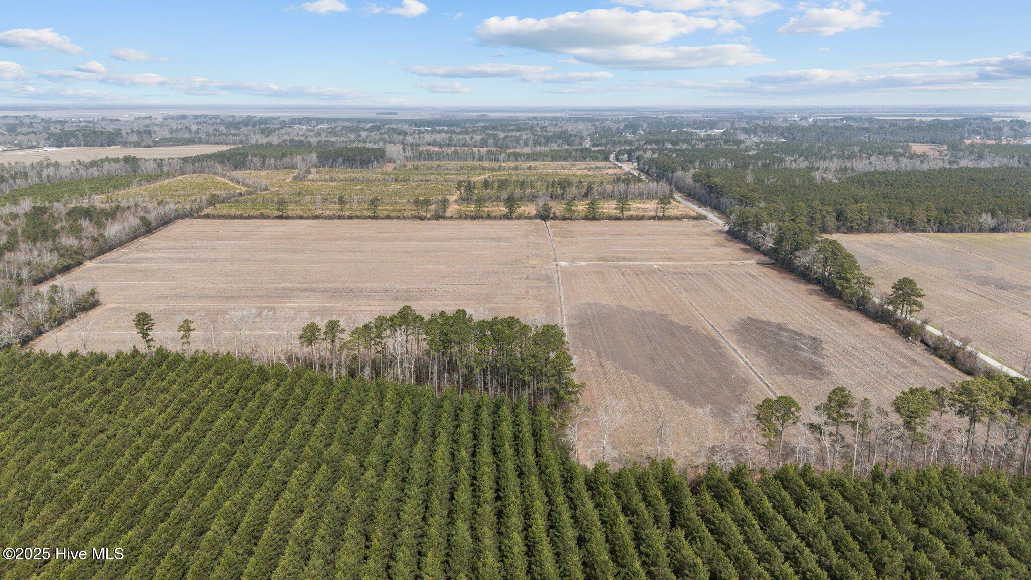 0 Neals Creek Road Bayboro, NC 28515 - Photo 17 of 32 17-web-or-mls-DJI_20250313115746_0055_D