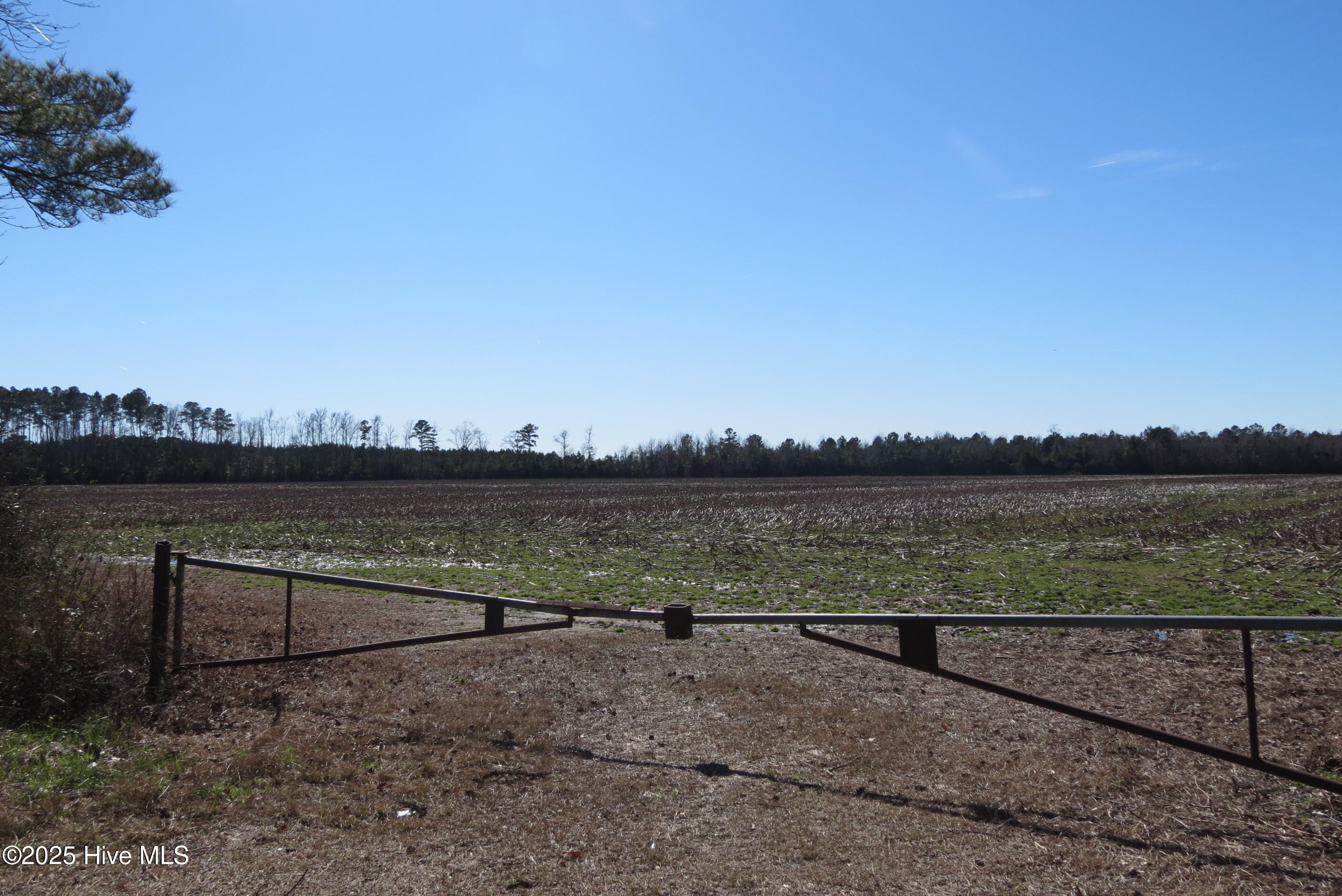 0 Neals Creek Road Bayboro, NC 28515 - Photo 18 of 32 Entry Gate