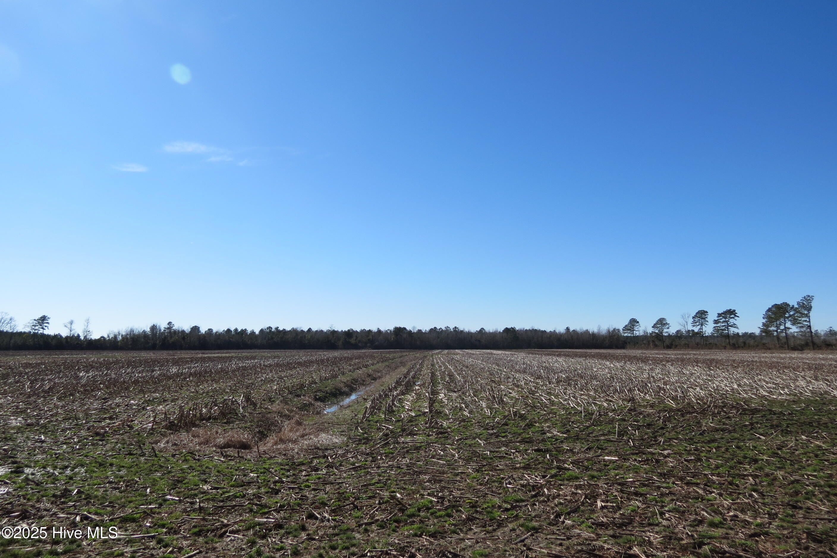 0 Neals Creek Road Bayboro, NC 28515 - Photo 21 of 32 IMG_0656