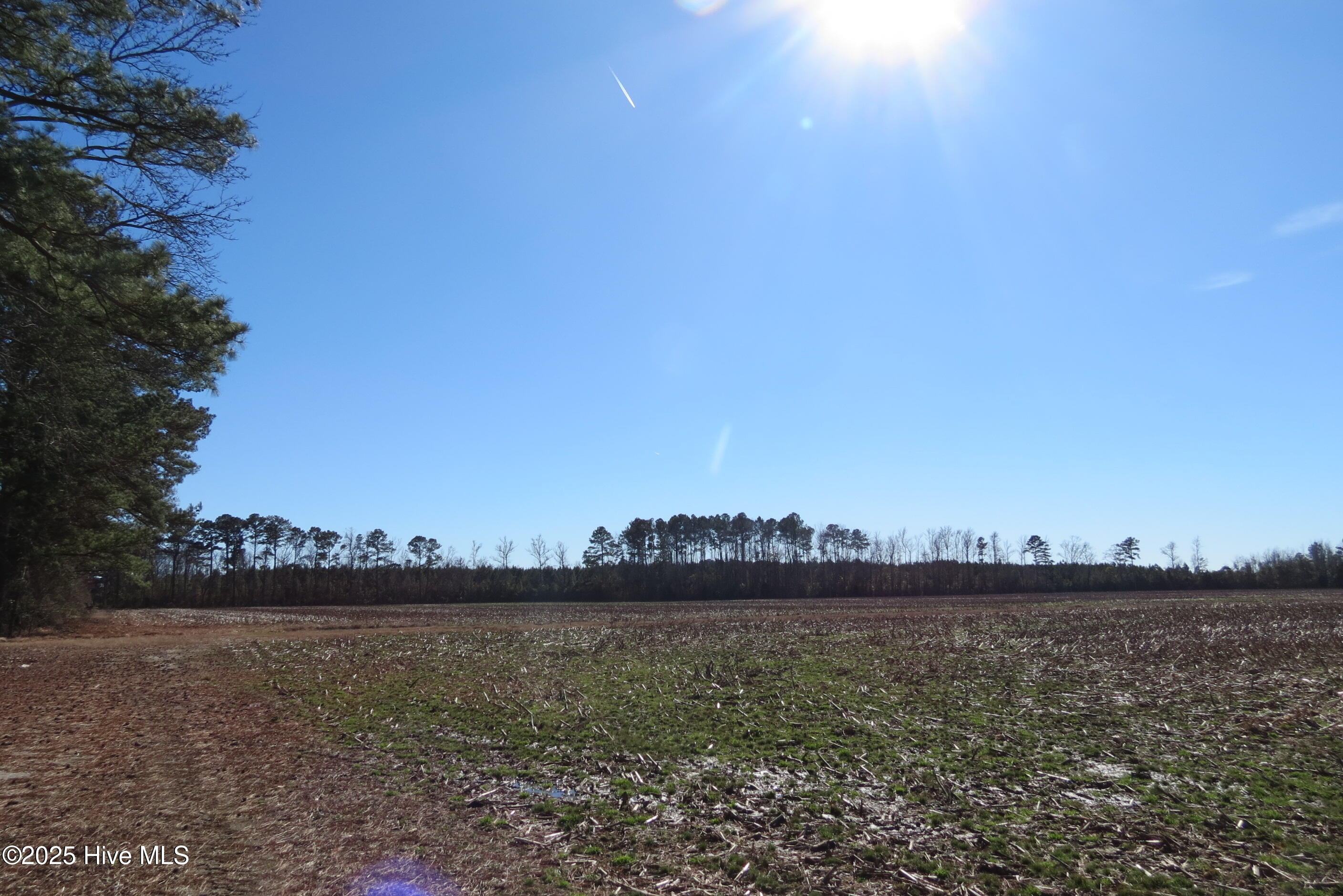 0 Neals Creek Road Bayboro, NC 28515 - Photo 22 of 32 IMG_0657