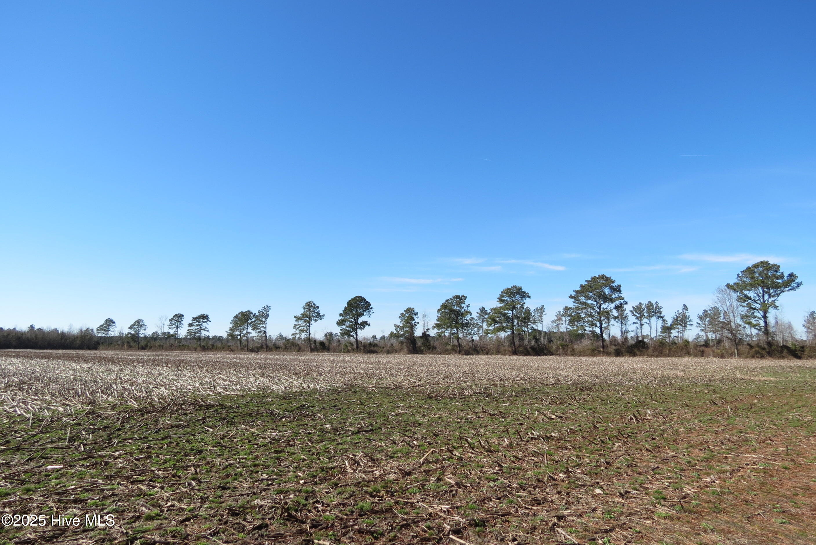 0 Neals Creek Road Bayboro, NC 28515 - Photo 23 of 32 IMG_0658