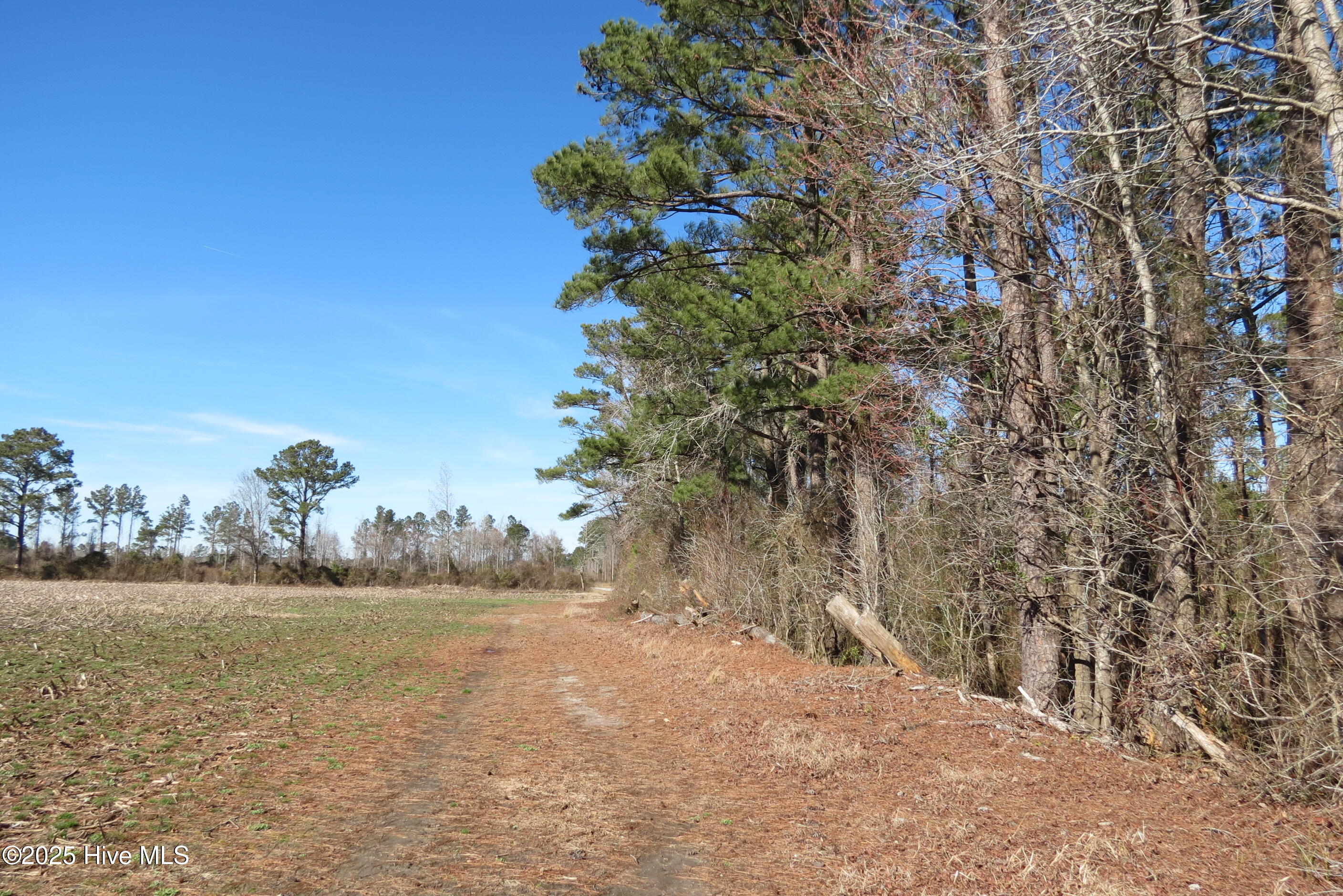 0 Neals Creek Road Bayboro, NC 28515 - Photo 24 of 32 IMG_0659