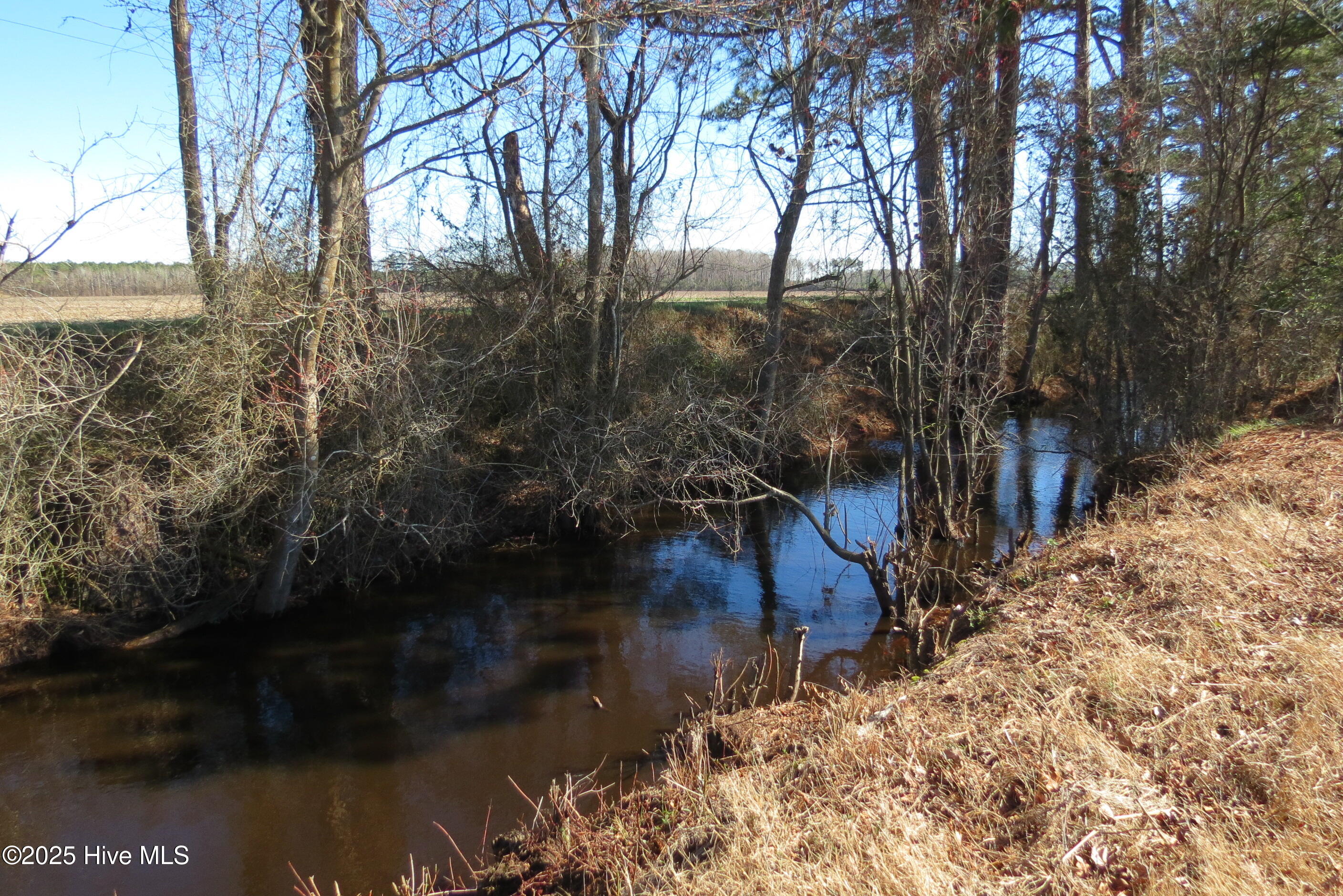 0 Neals Creek Road Bayboro, NC 28515 - Photo 25 of 32 IMG_0660