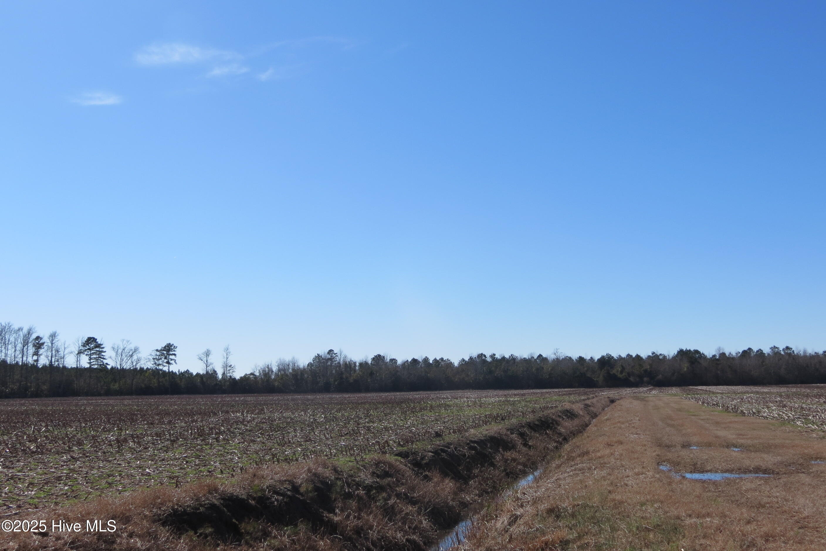 0 Neals Creek Road Bayboro, NC 28515 - Photo 26 of 32 IMG_0661