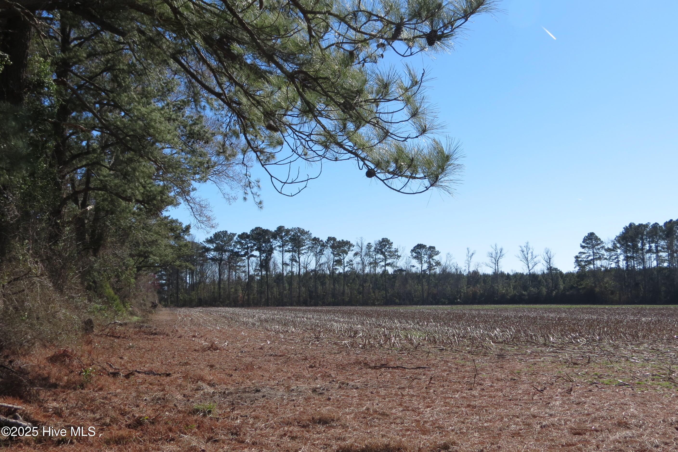 0 Neals Creek Road Bayboro, NC 28515 - Photo 27 of 32 IMG_0662