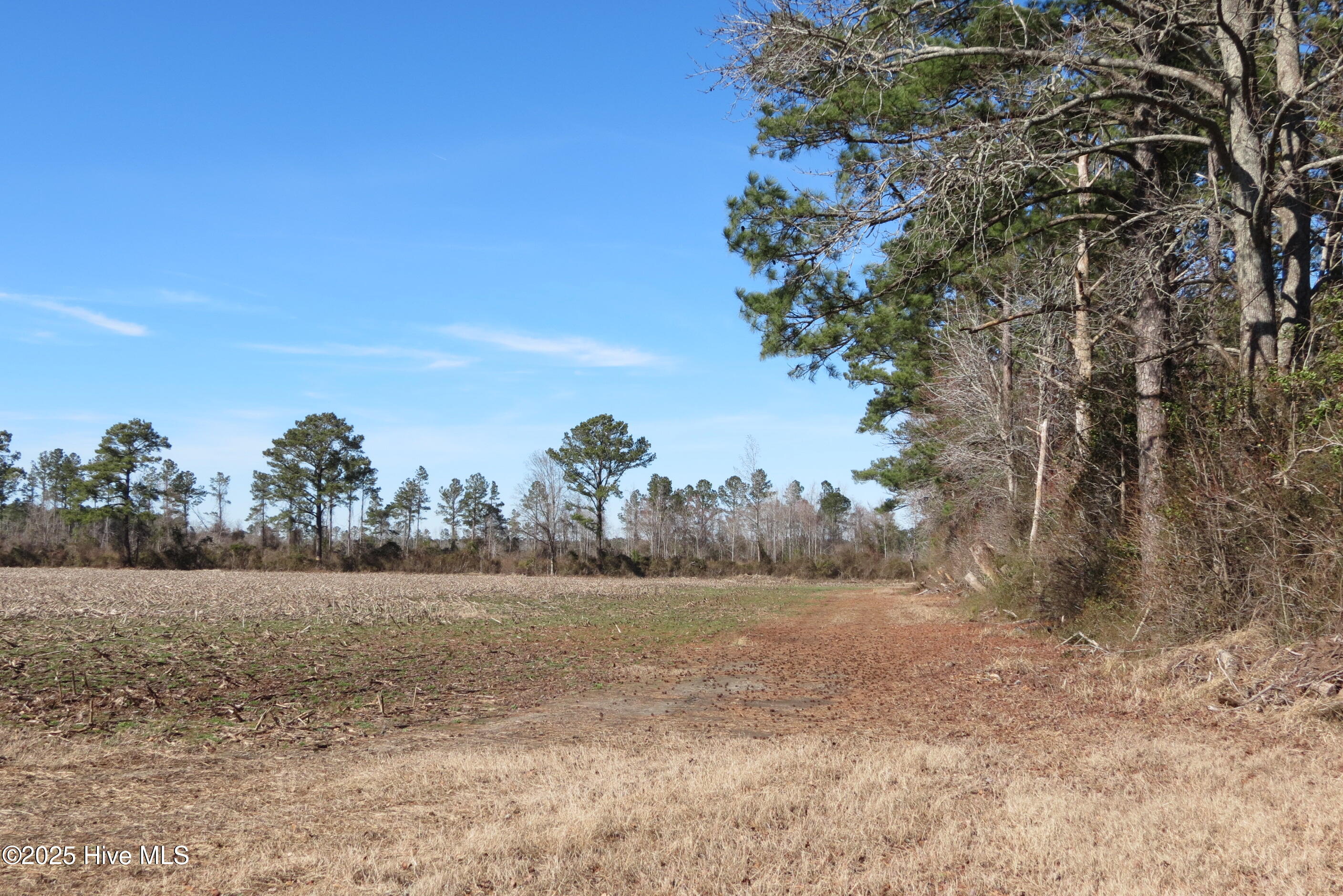 0 Neals Creek Road Bayboro, NC 28515 - Photo 28 of 32 IMG_0663