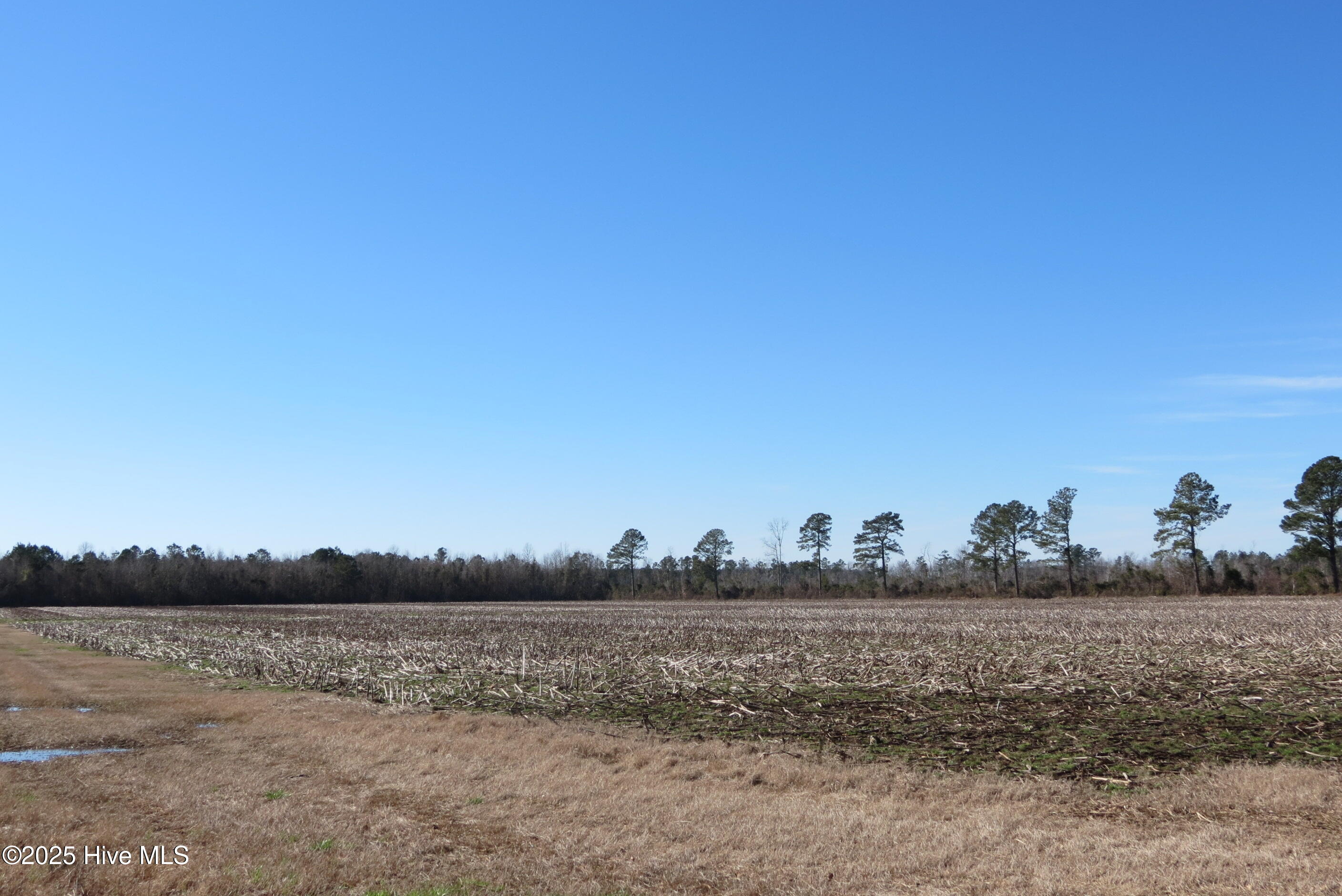 0 Neals Creek Road Bayboro, NC 28515 - Photo 29 of 32 IMG_0664