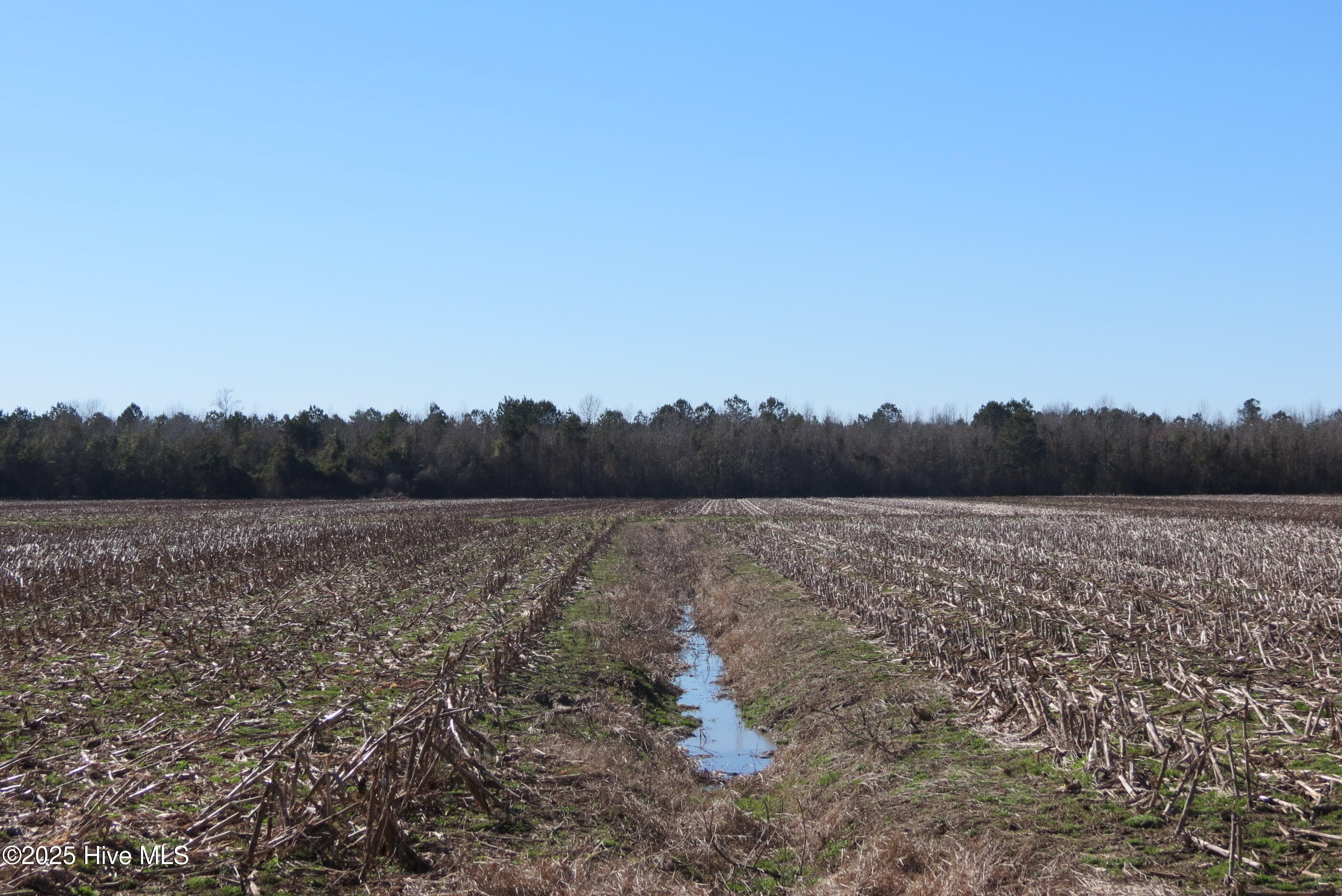 0 Neals Creek Road Bayboro, NC 28515 - Photo 30 of 32 IMG_0665