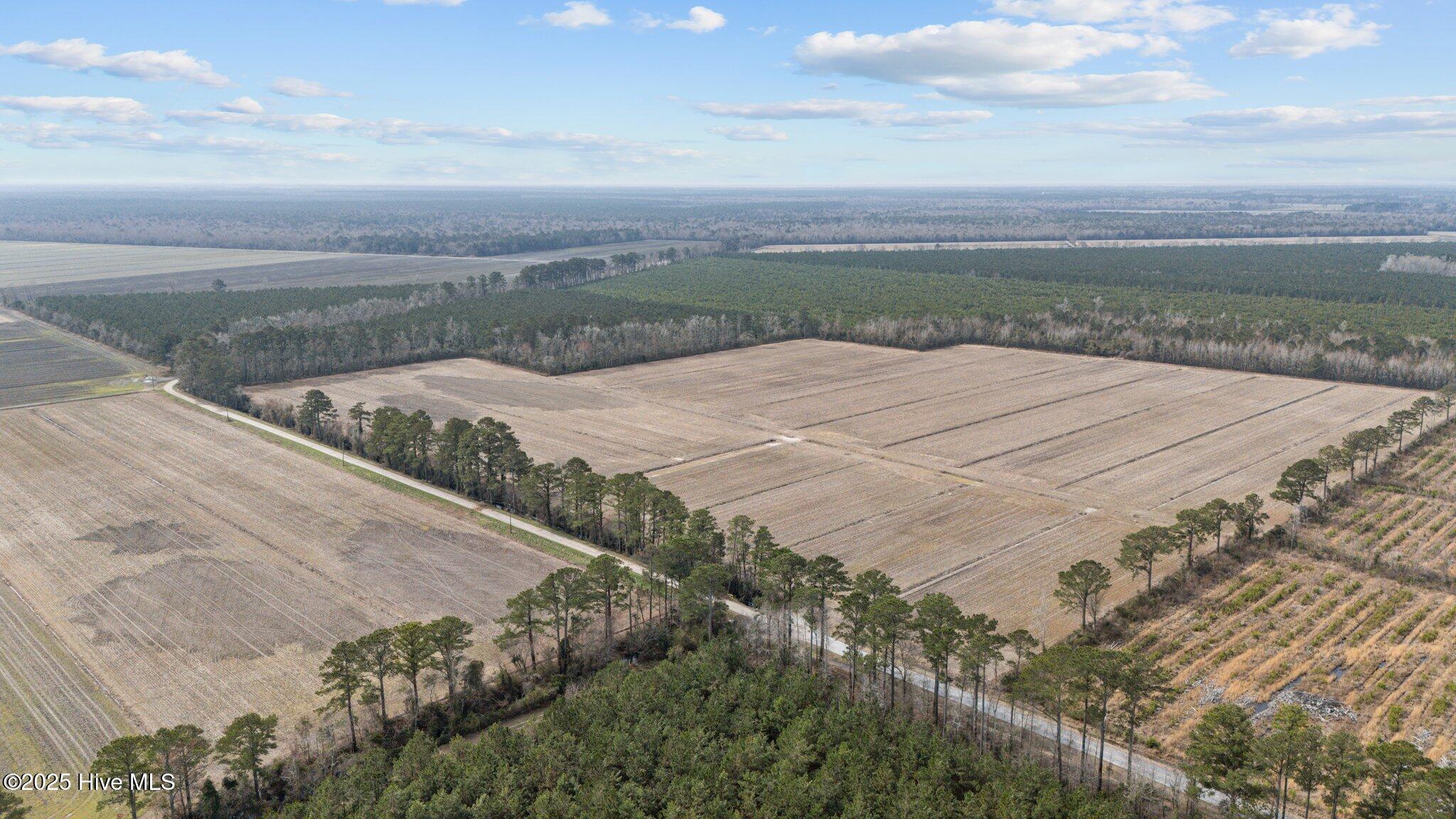 0 Neals Creek Road Bayboro, NC 28515 - Photo 3 of 32 2-web-or-mls-DJI_20250313114822_0032_D