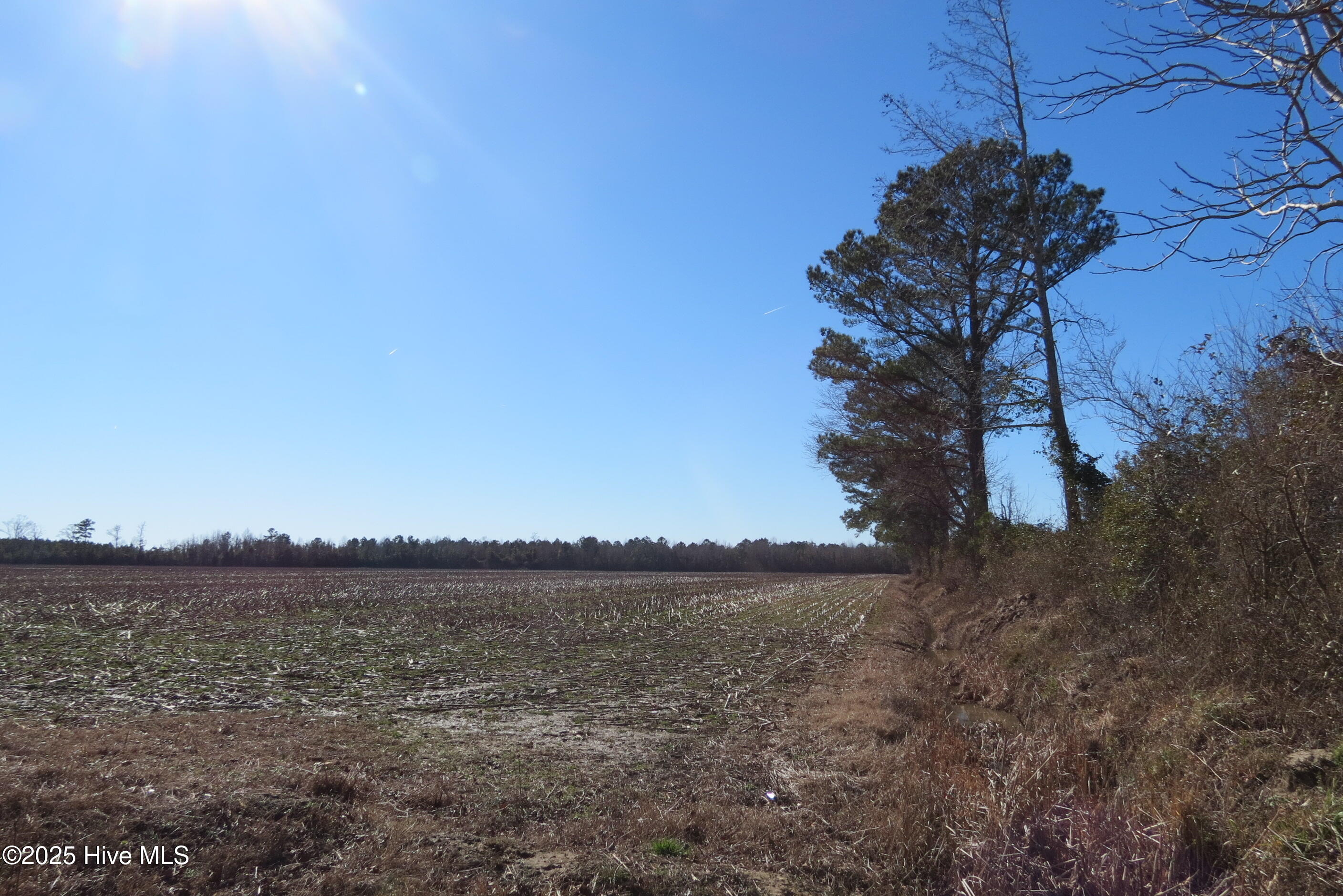 0 Neals Creek Road Bayboro, NC 28515 - Photo 31 of 32 IMG_0669