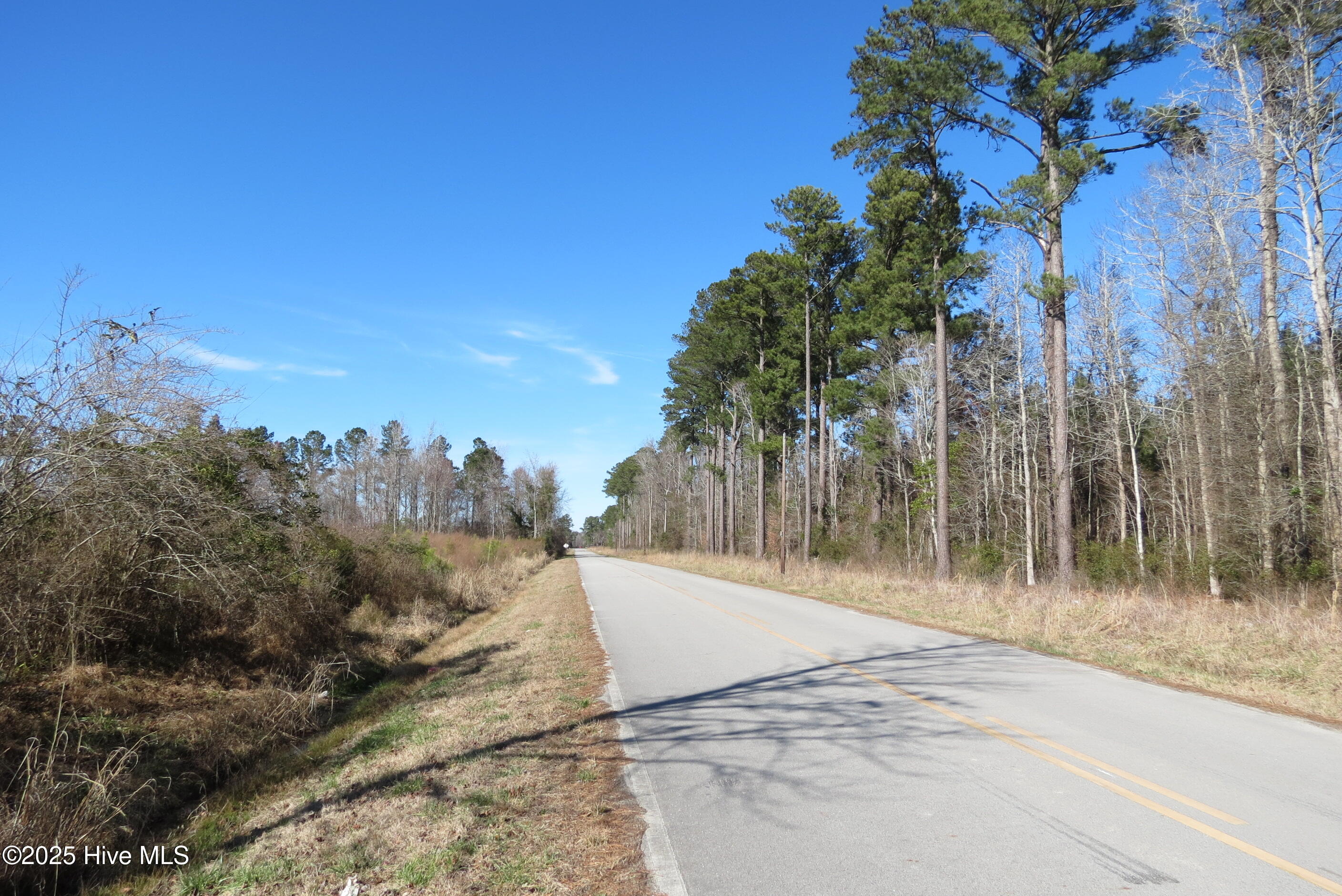 0 Neals Creek Road Bayboro, NC 28515 - Photo 32 of 32 IMG_0672