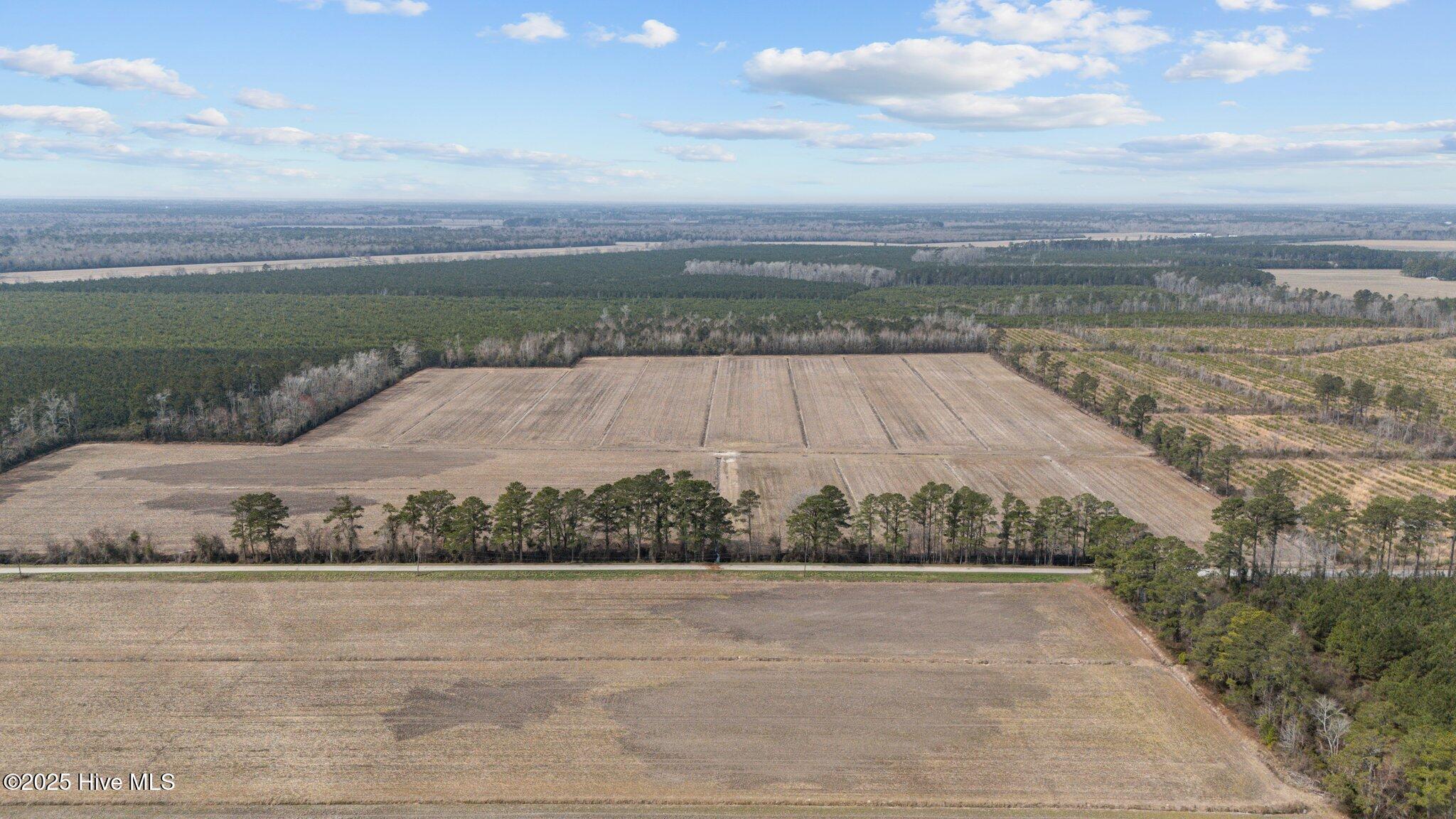 0 Neals Creek Road Bayboro, NC 28515 - Photo 4 of 32 3-web-or-mls-DJI_20250313114900_0033_D