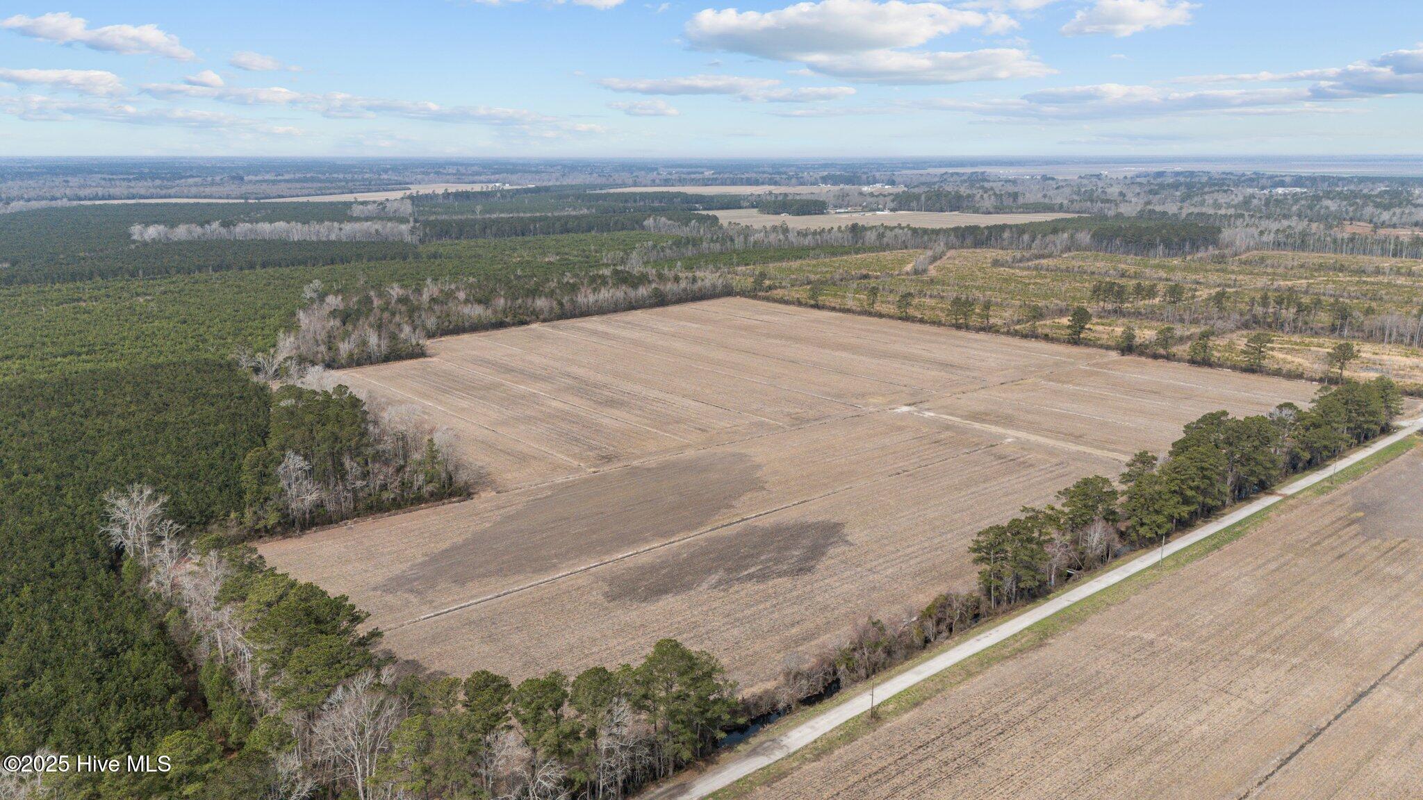 0 Neals Creek Road Bayboro, NC 28515 - Photo 5 of 32 4-web-or-mls-DJI_20250313114944_0034_D