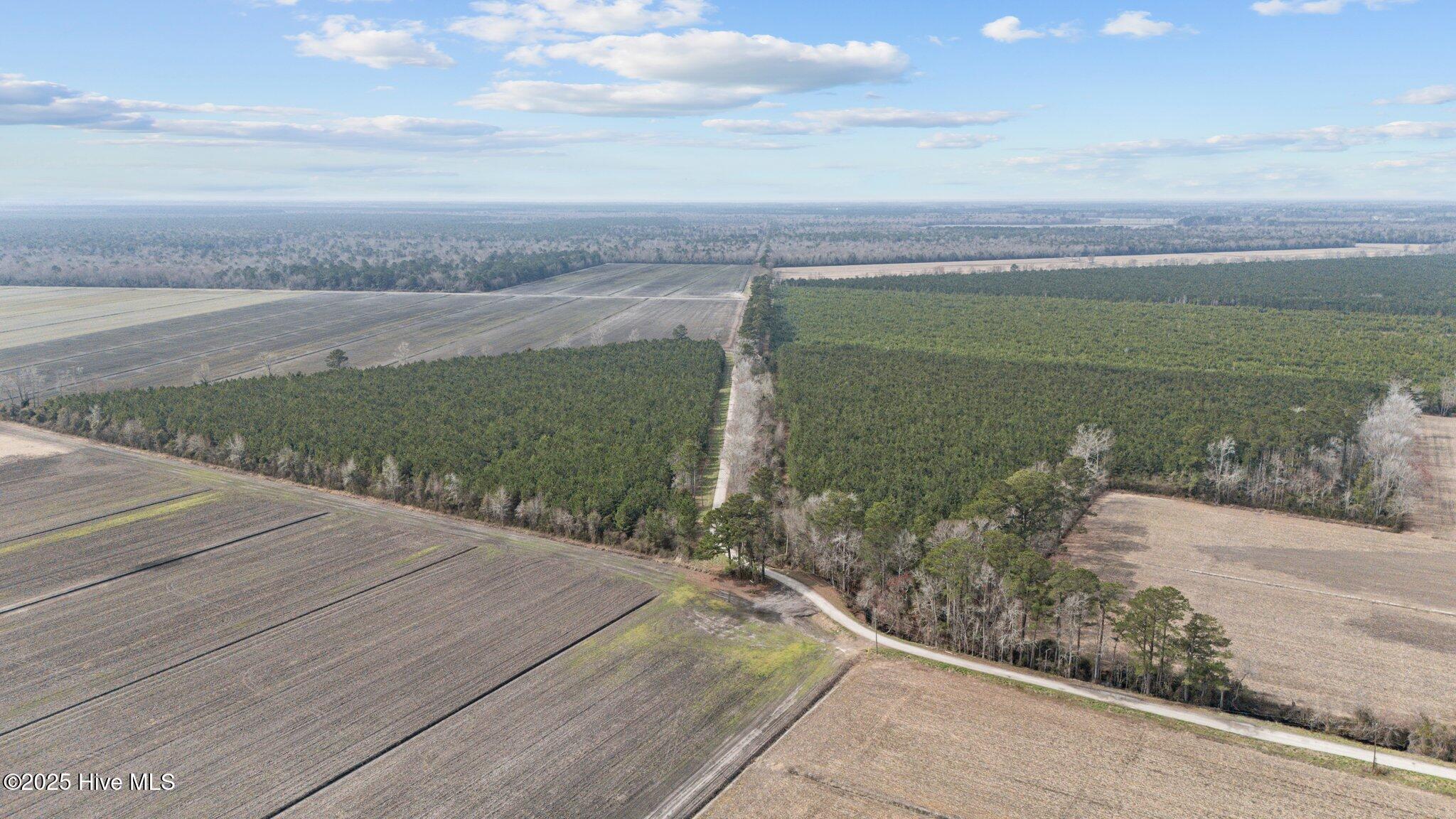 0 Neals Creek Road Bayboro, NC 28515 - Photo 6 of 32 5-web-or-mls-DJI_20250313115014_0035_D