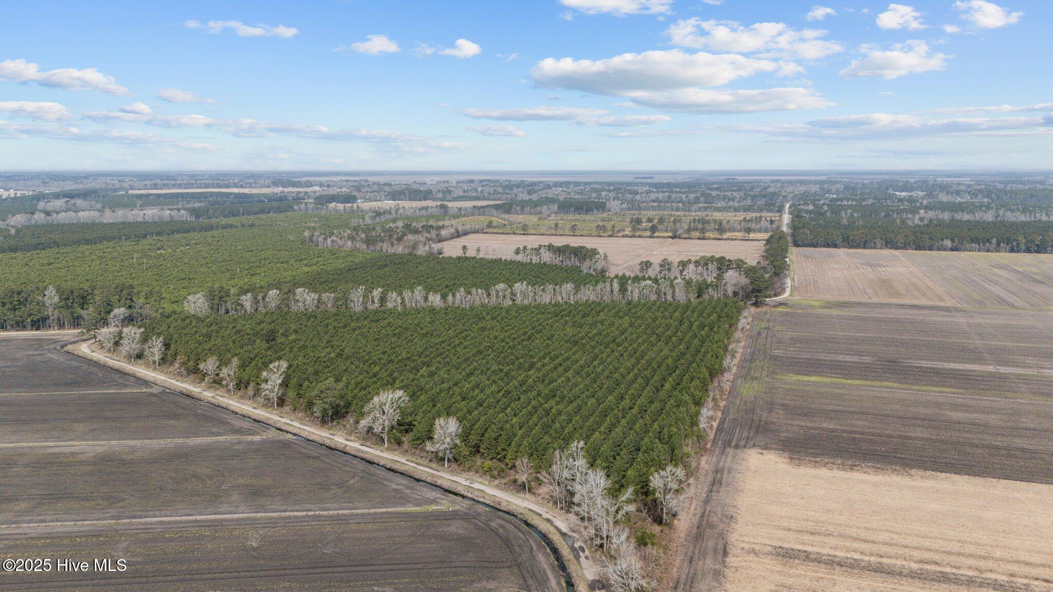 0 Neals Creek Road Bayboro, NC 28515 - Photo 7 of 32 6-web-or-mls-DJI_20250313115132_0037_D