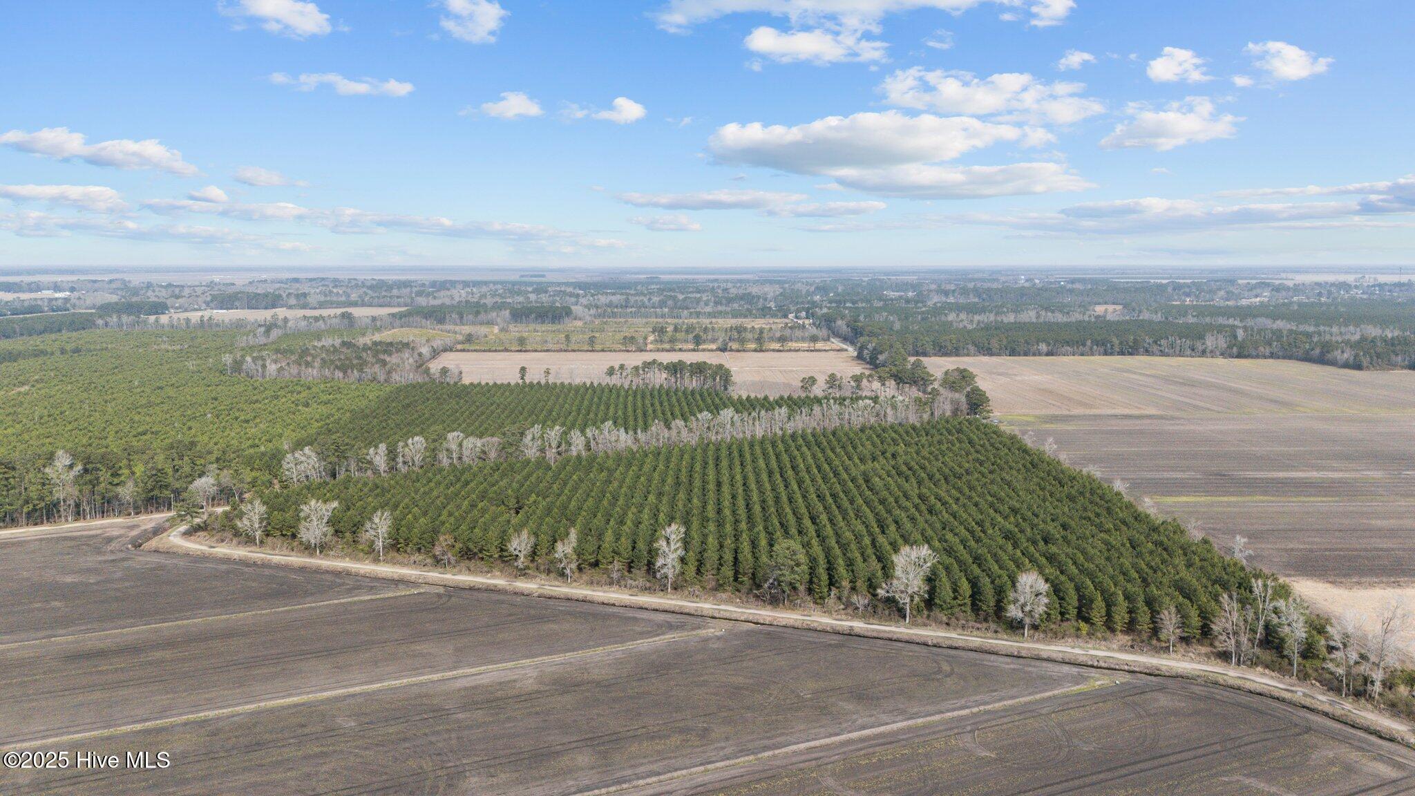 0 Neals Creek Road Bayboro, NC 28515 - Photo 8 of 32 7-web-or-mls-DJI_20250313115152_0038_D