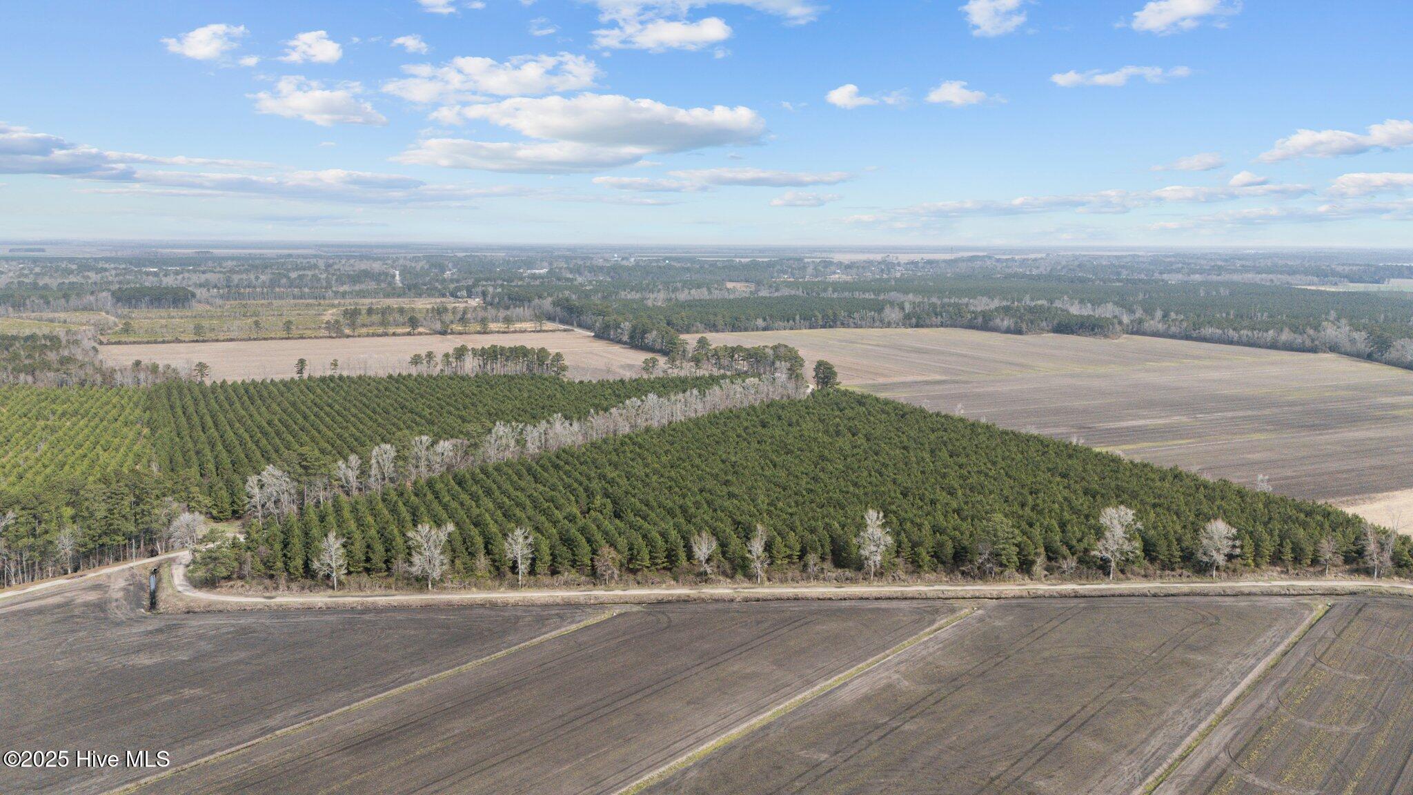 0 Neals Creek Road Bayboro, NC 28515 - Photo 9 of 32 8-web-or-mls-DJI_20250313115209_0039_D